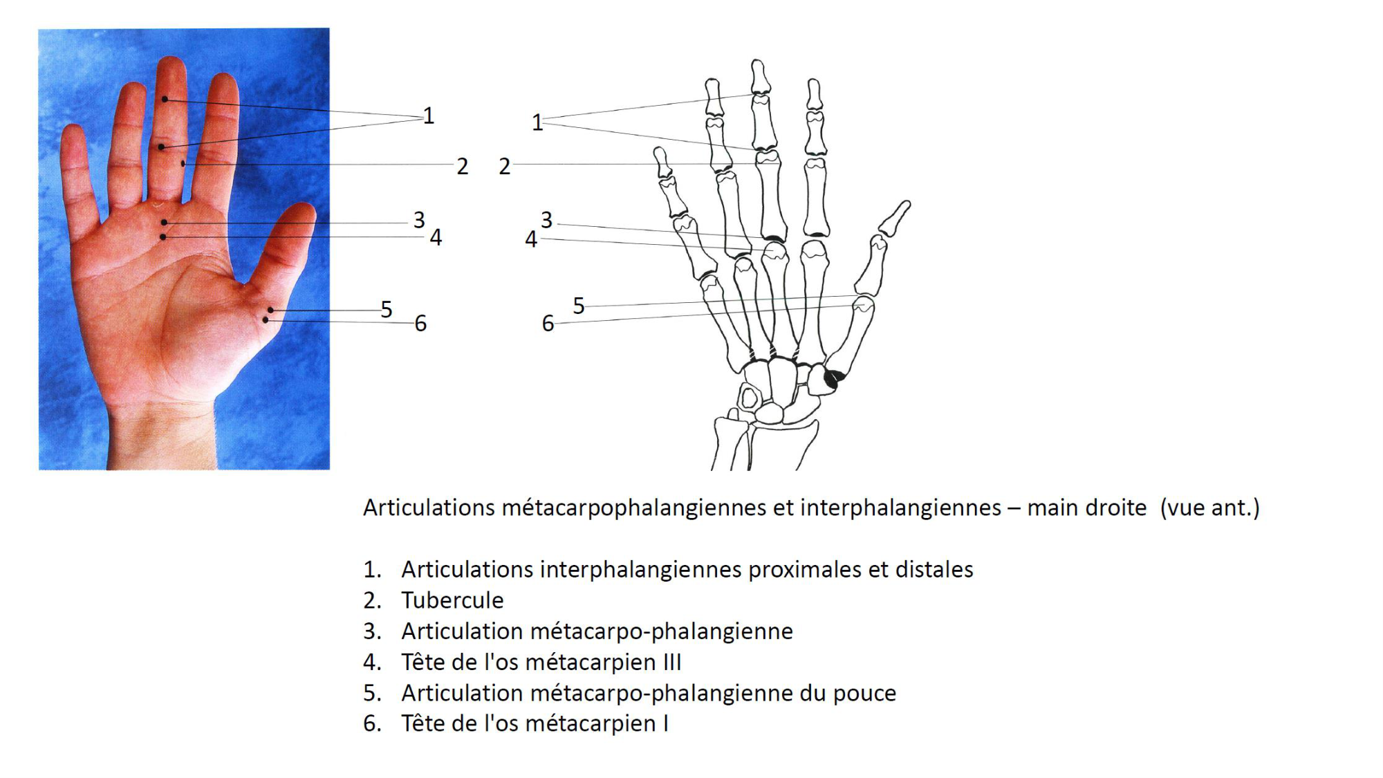 1BA main 2025-26 page 7