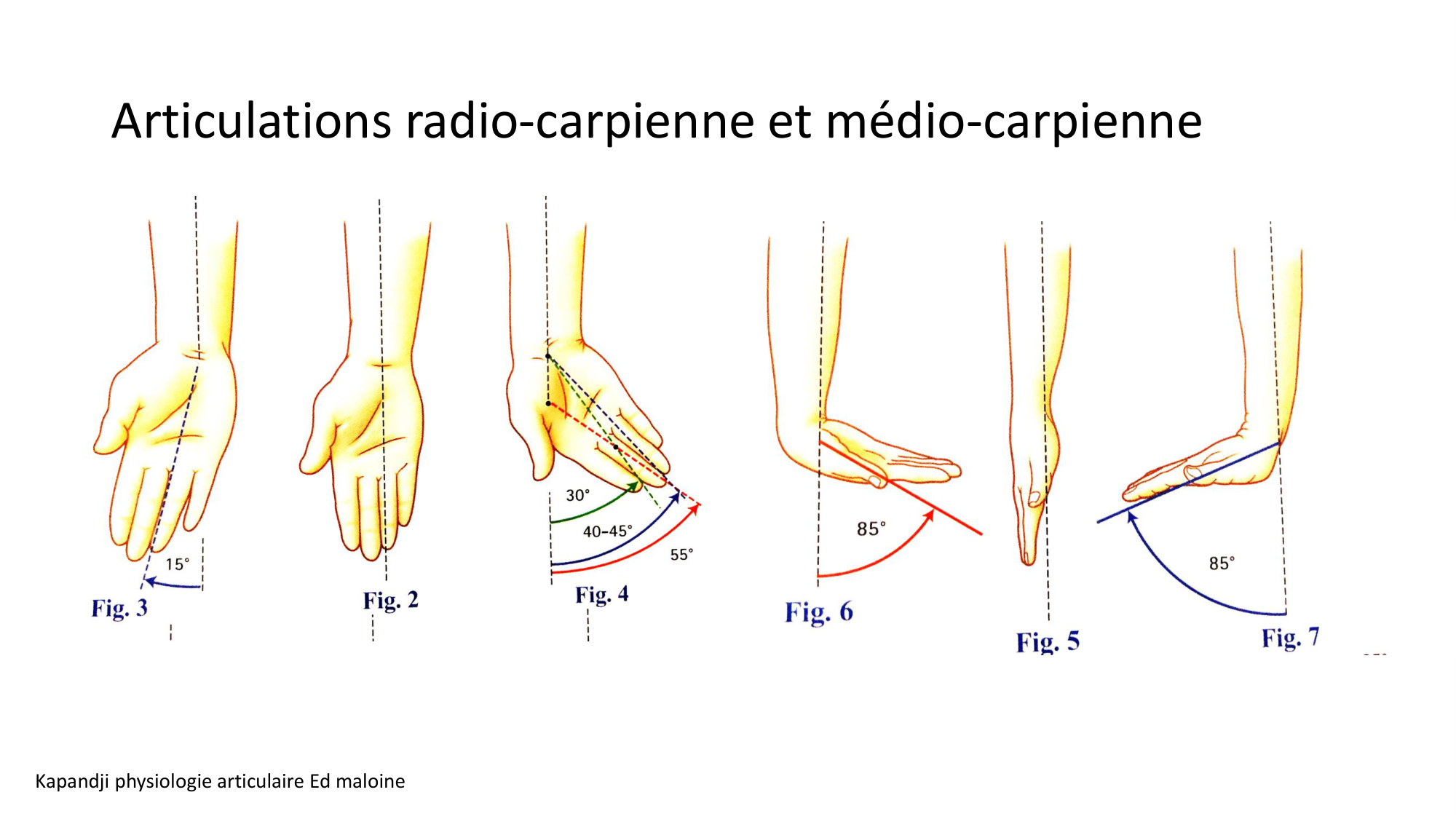 1BA main 2025-26 page 10