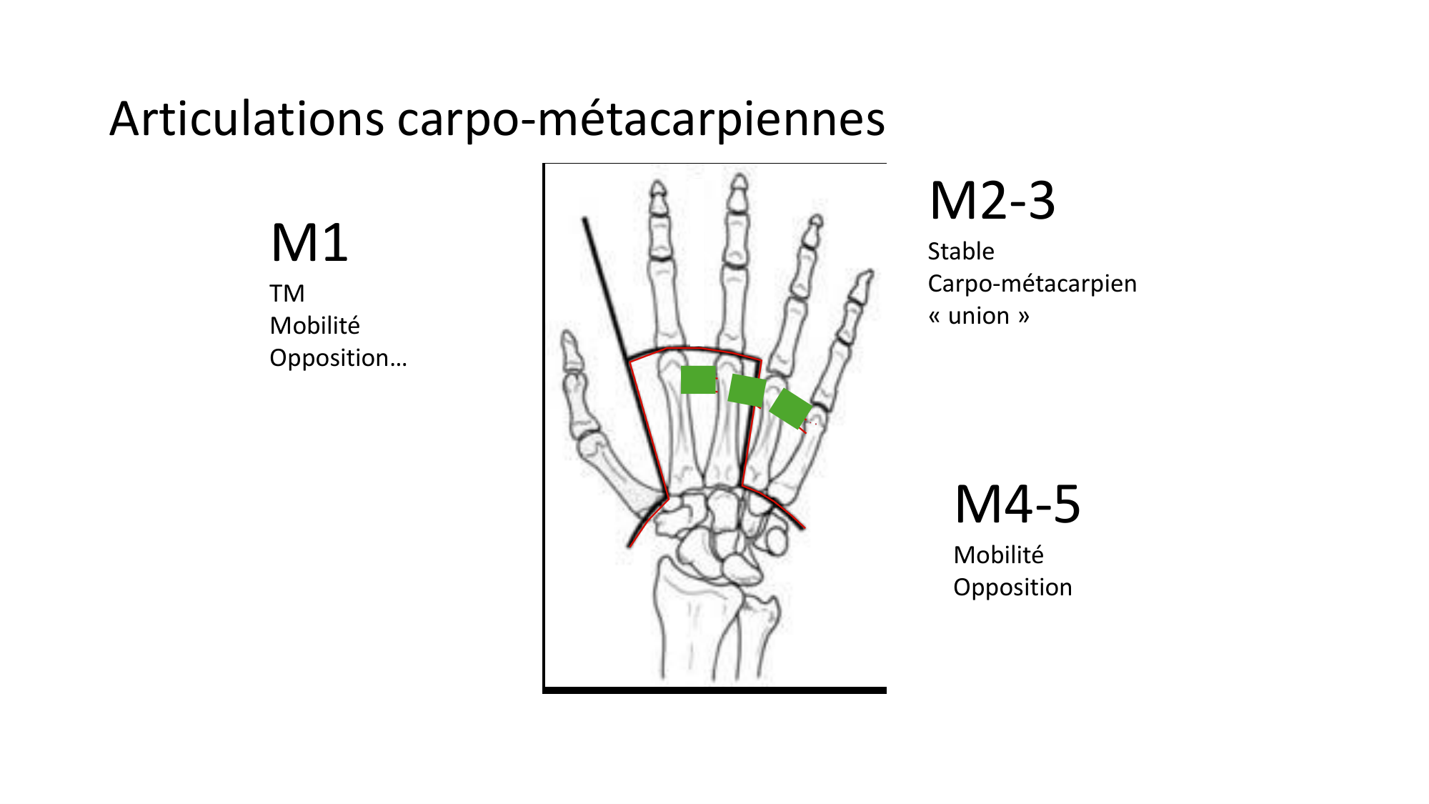 1BA main 2025-26 page 11