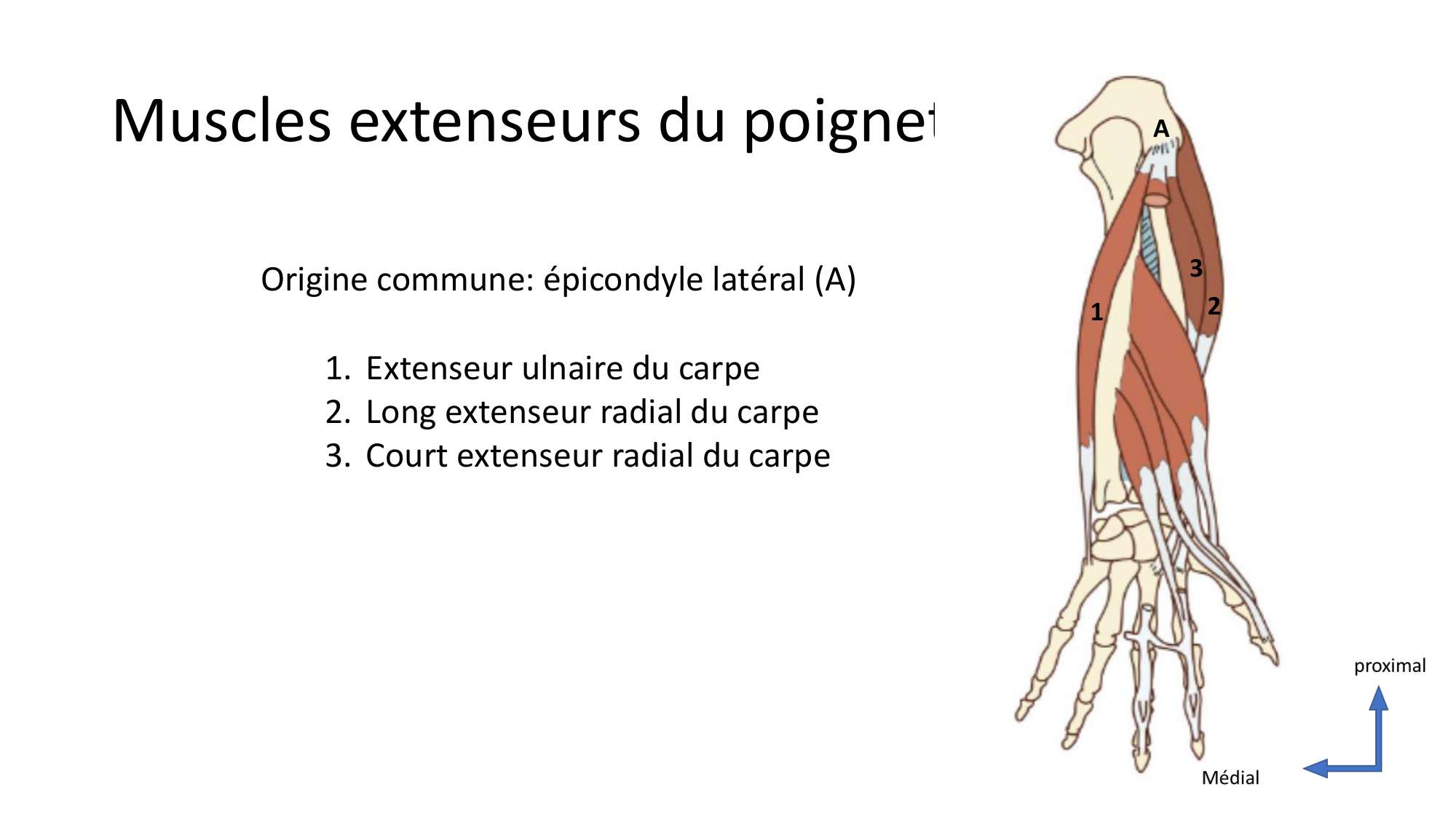1BA main 2025-26 page 13
