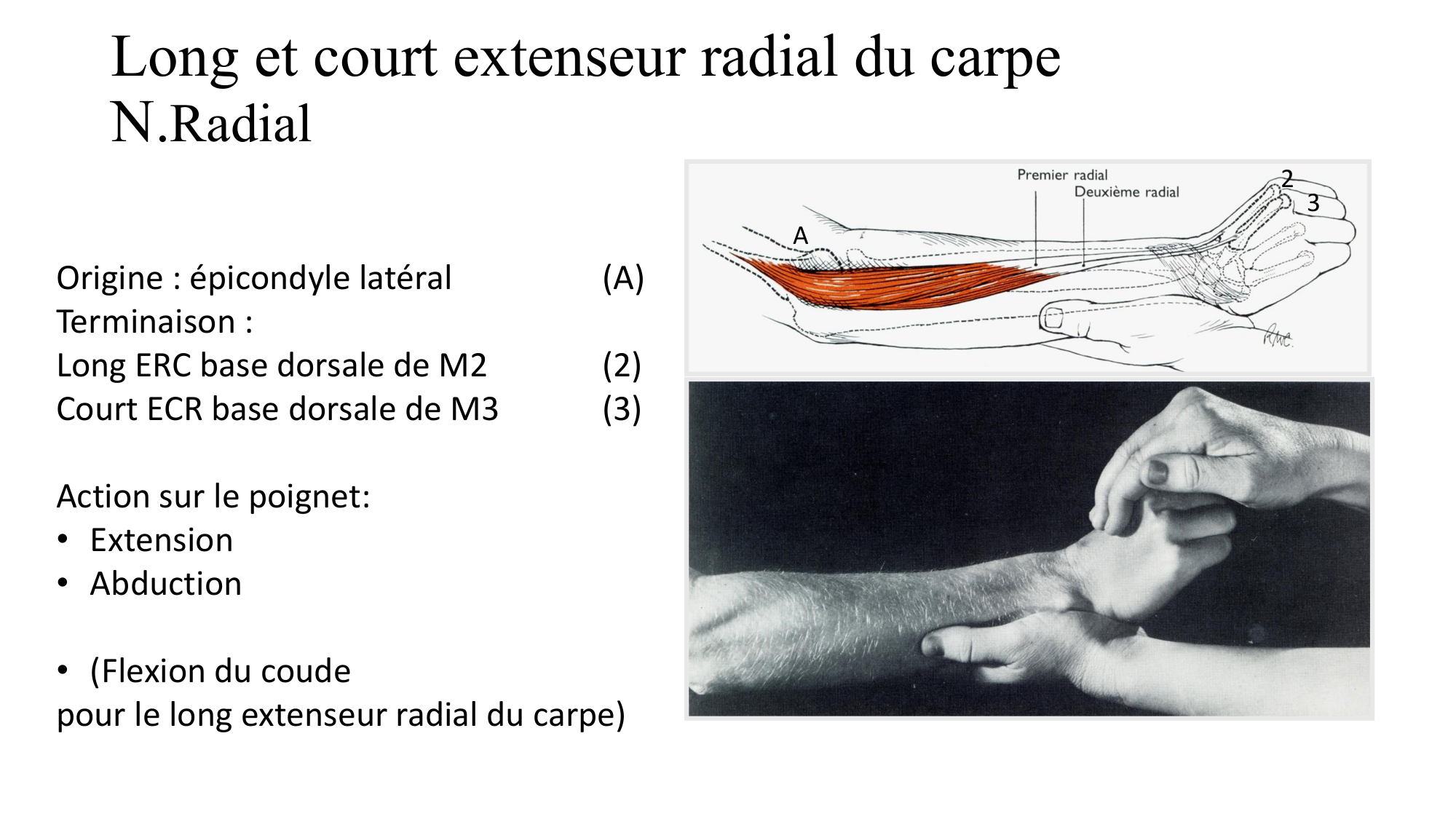 1BA main 2025-26 page 15