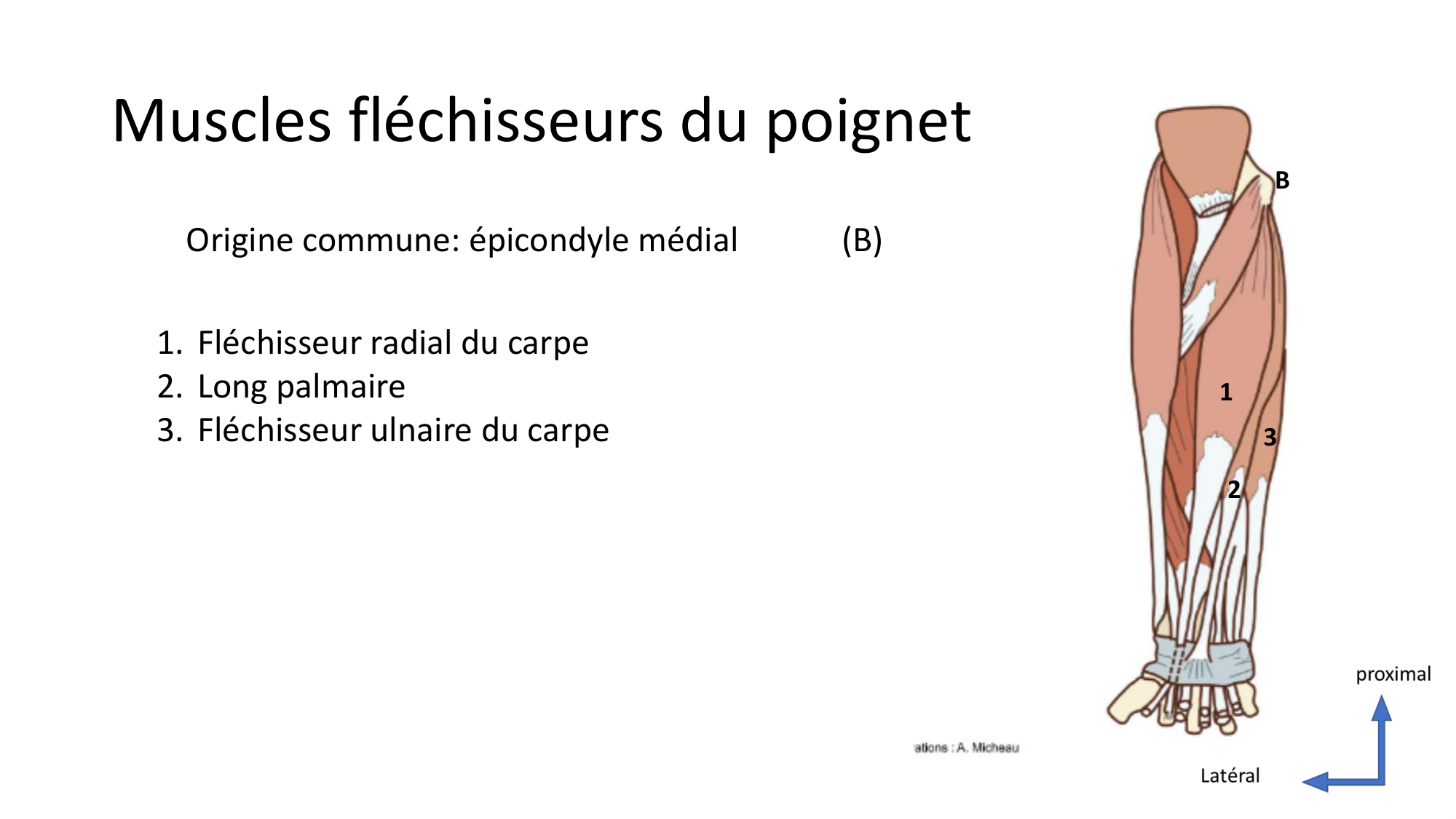 1BA main 2025-26 page 16