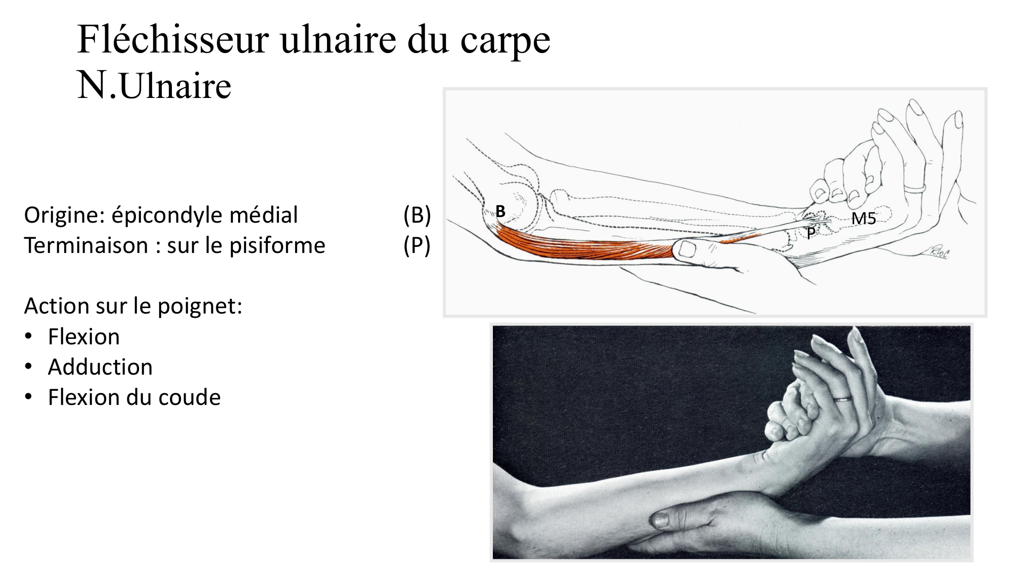1BA main 2025-26 page 18