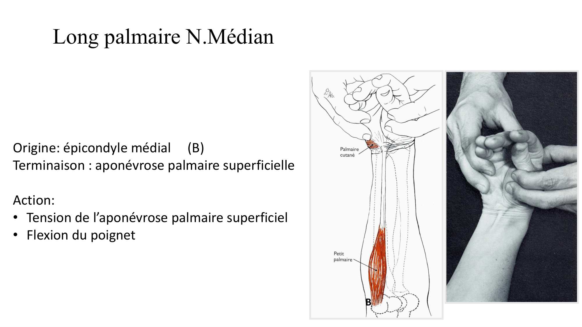 1BA main 2025-26 page 19
