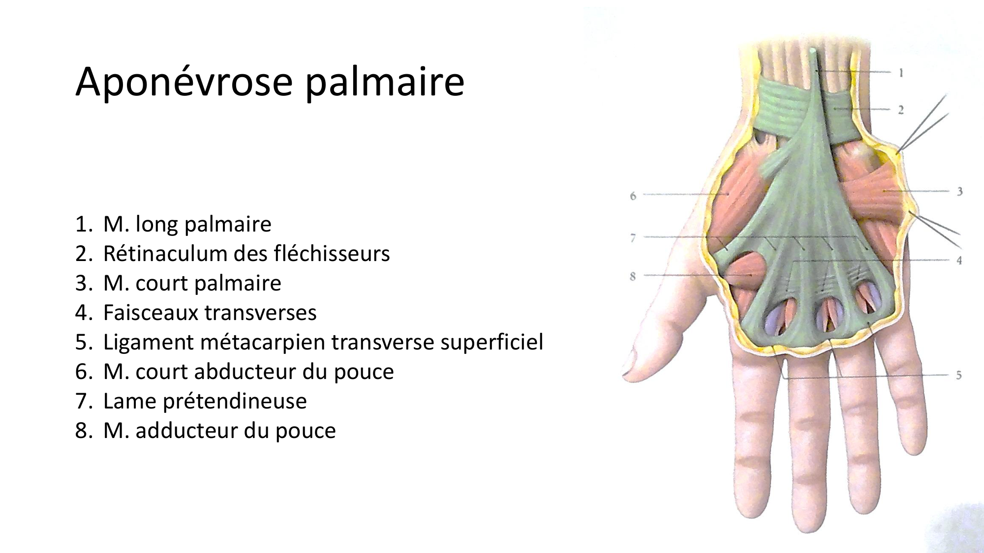 1BA main 2025-26 page 20