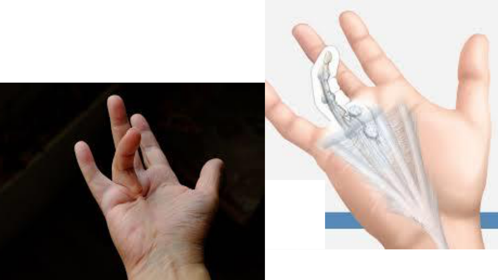 1BA main 2025-26 page 21