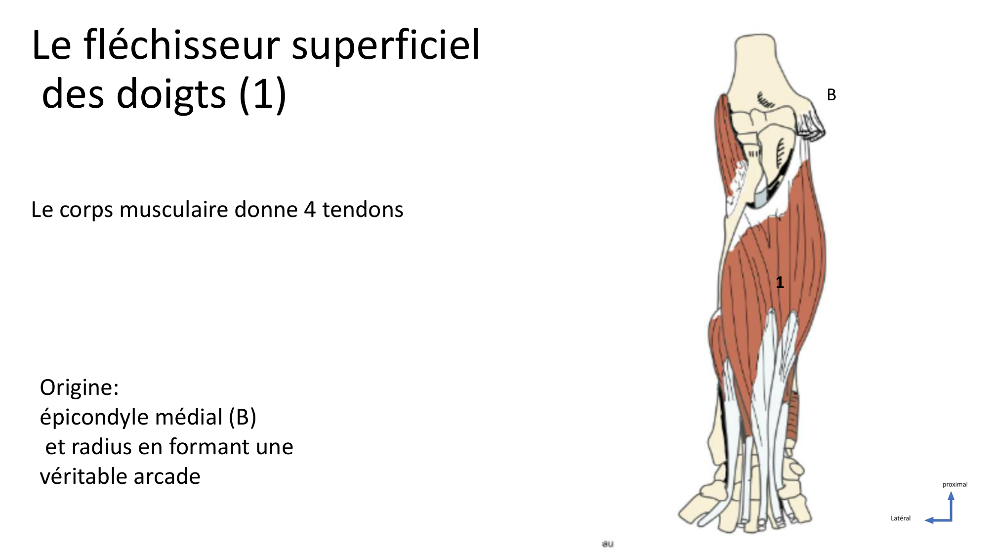 1BA main 2025-26 page 27