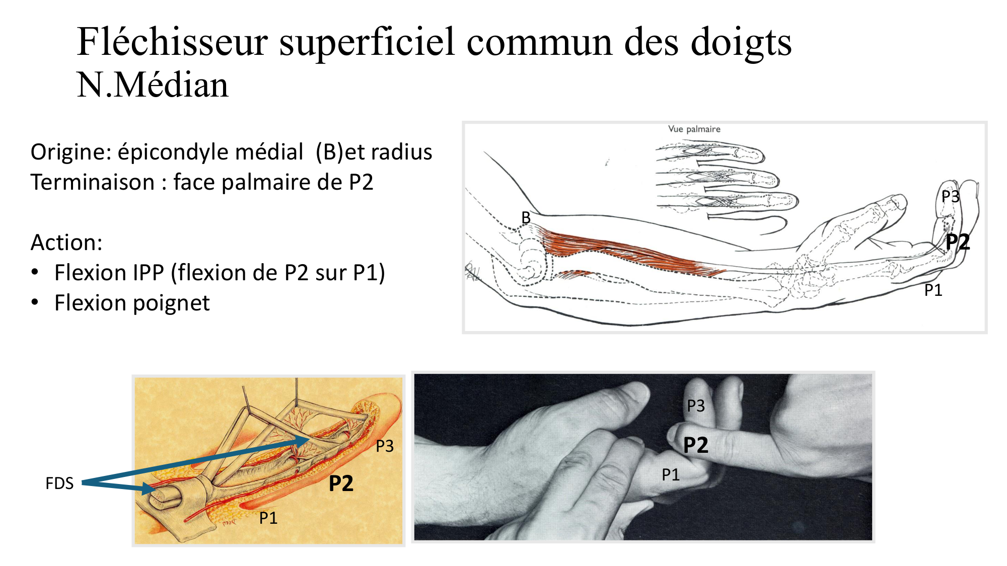 1BA main 2025-26 page 28