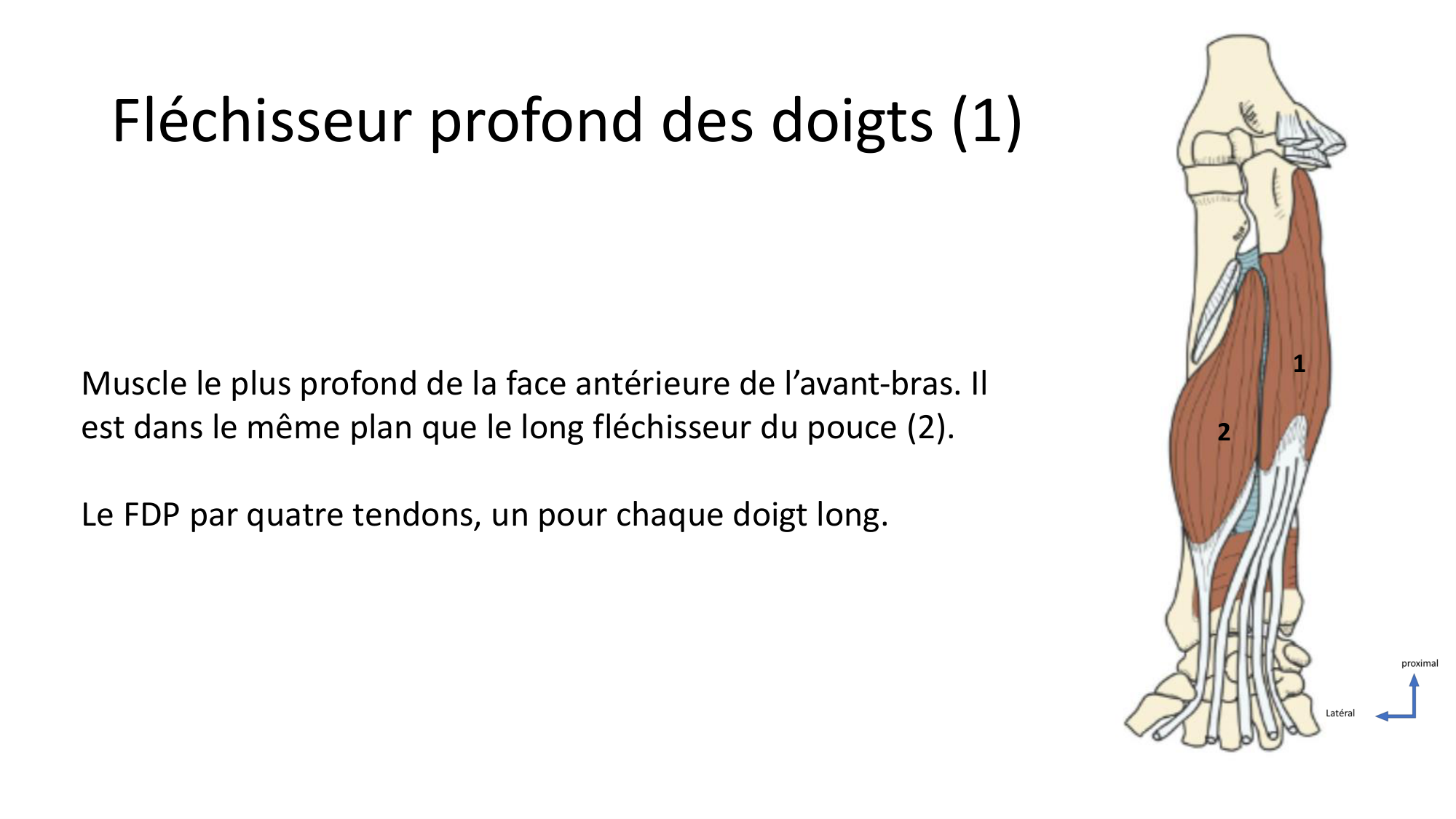 1BA main 2025-26 page 29