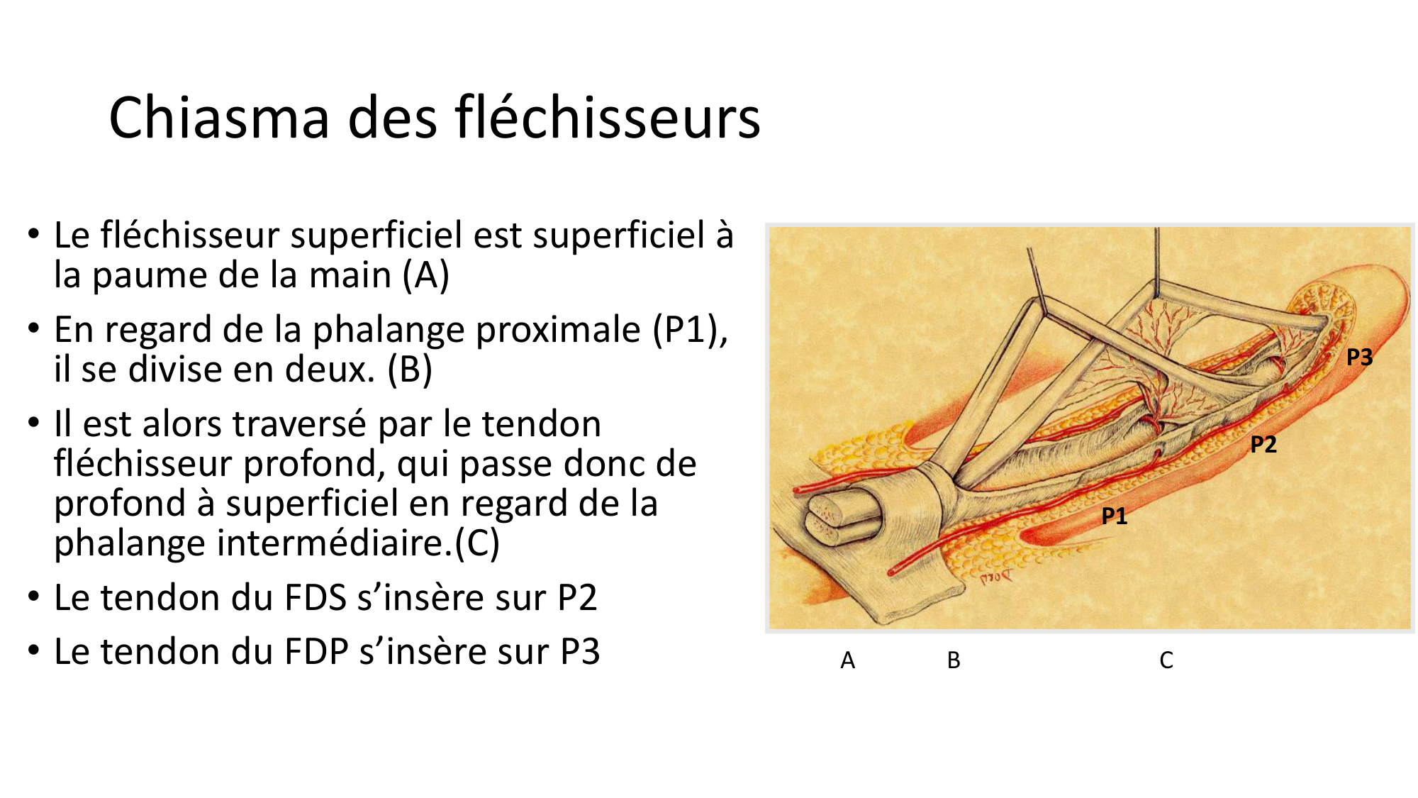 1BA main 2025-26 page 31