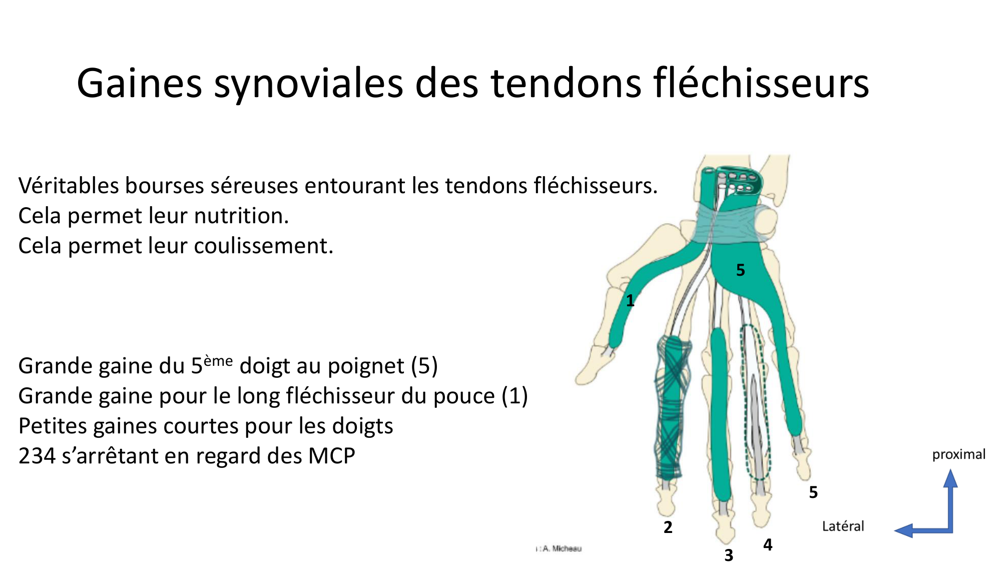1BA main 2025-26 page 33