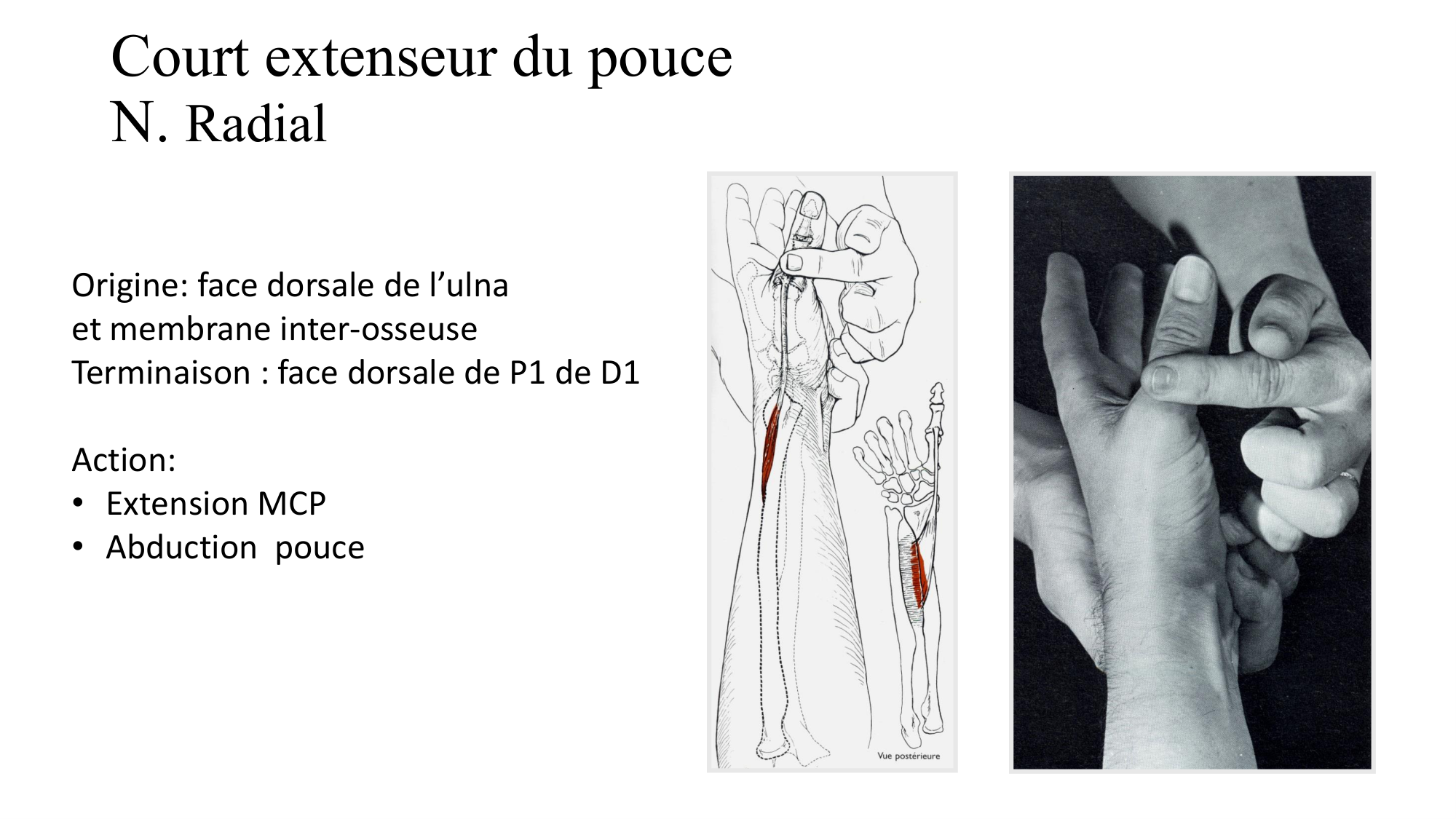 1BA main 2025-26 page 37