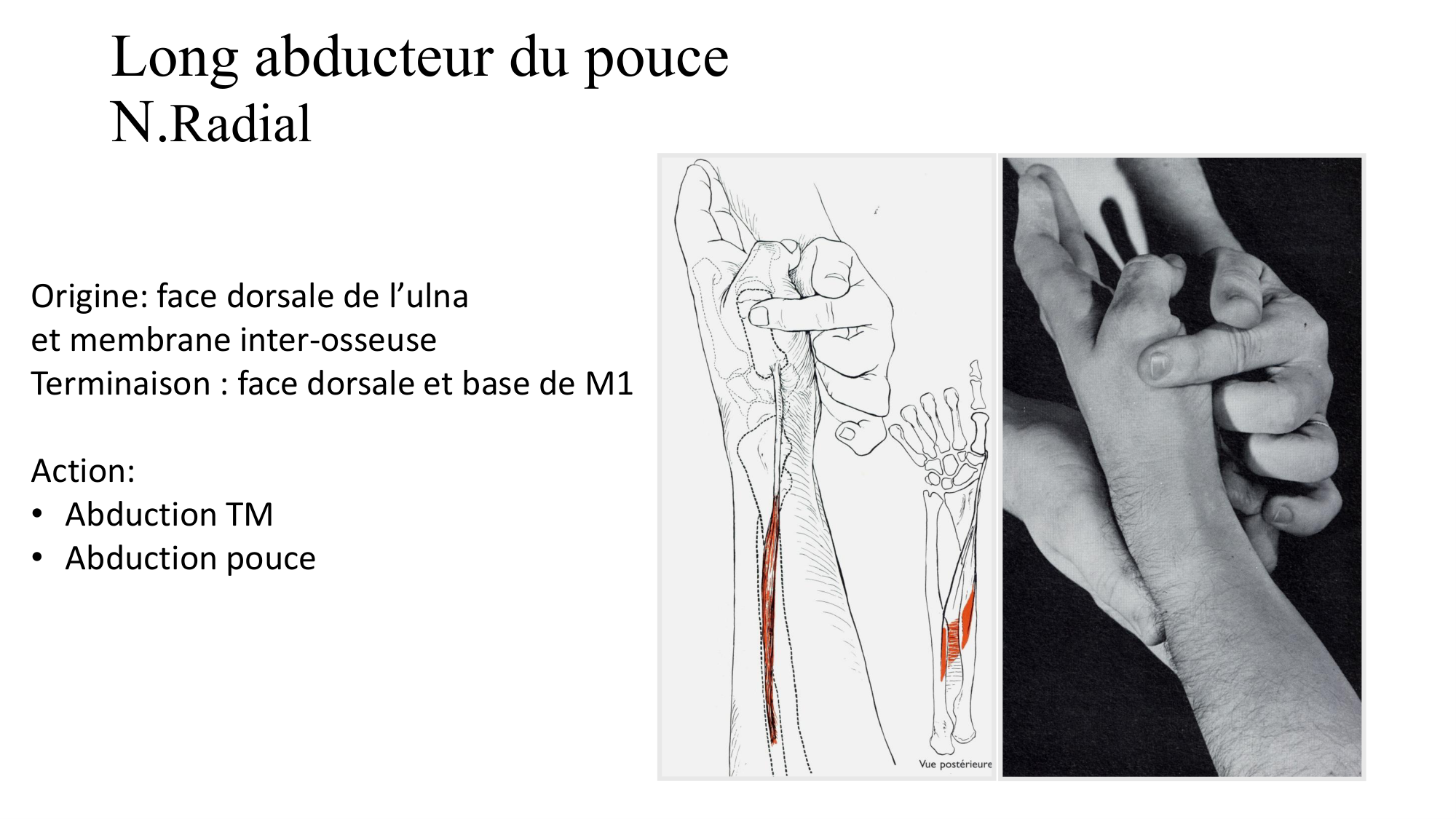 1BA main 2025-26 page 38