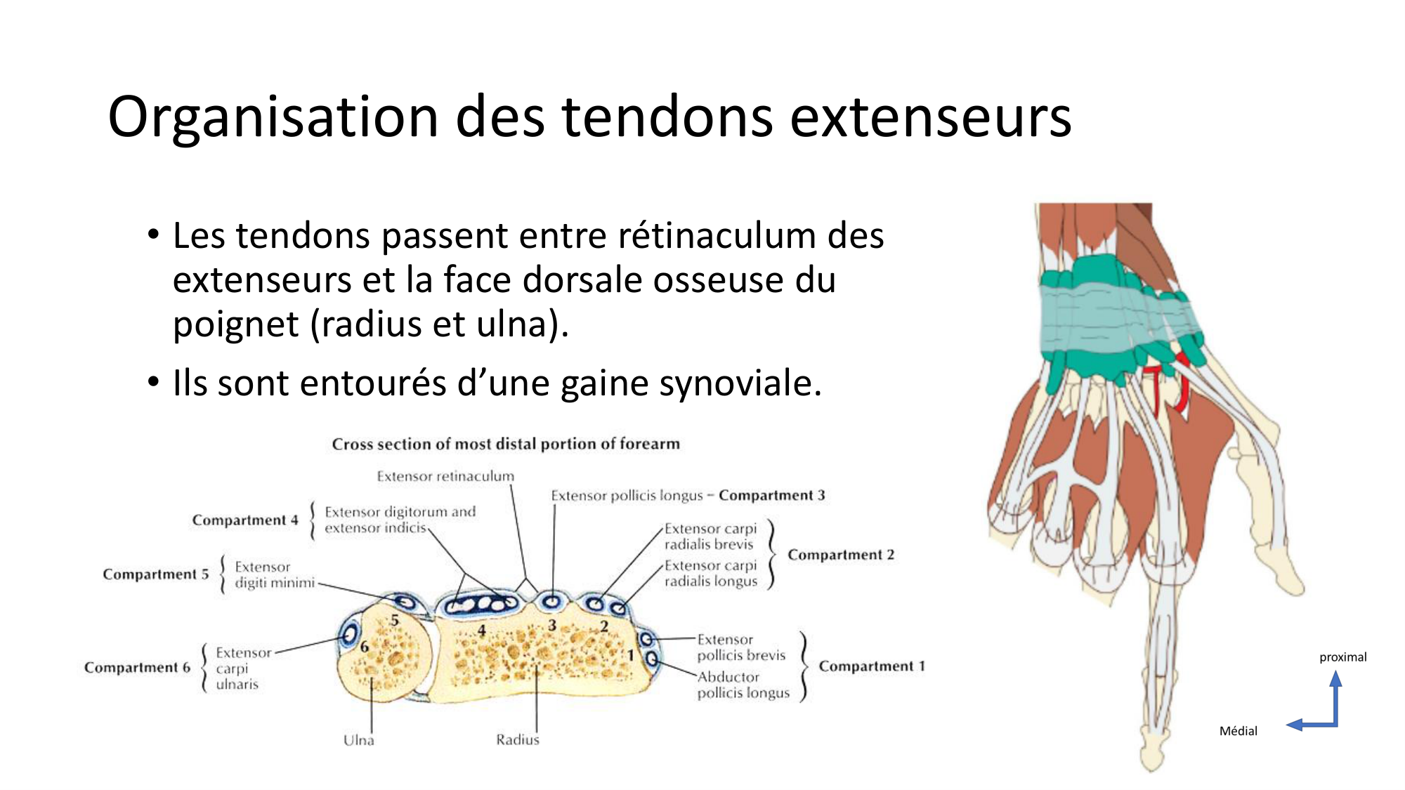 1BA main 2025-26 page 40