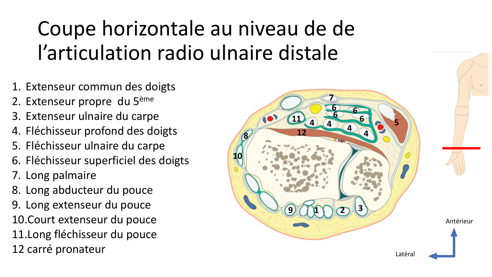 1BA main 2025-26 page 42
