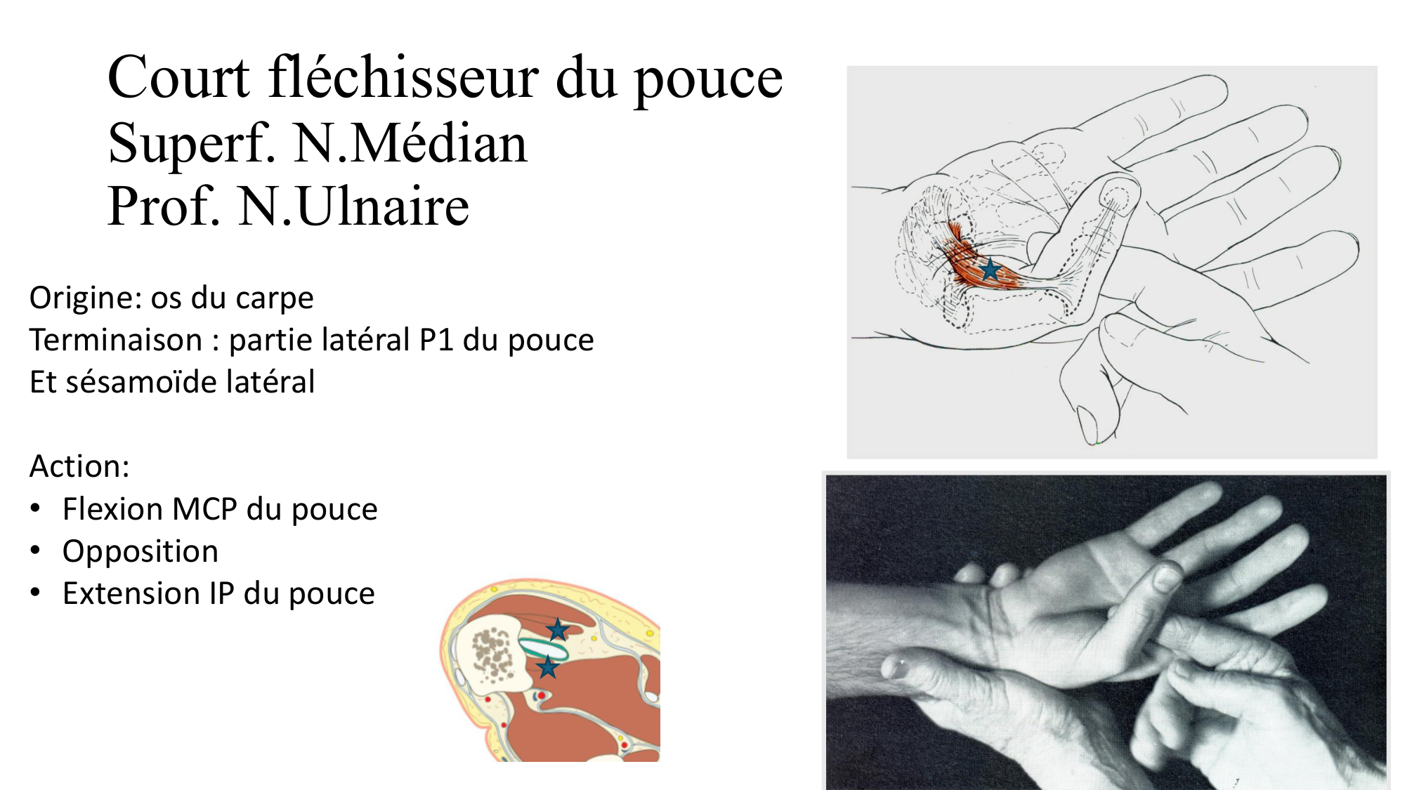 1BA main 2025-26 page 45