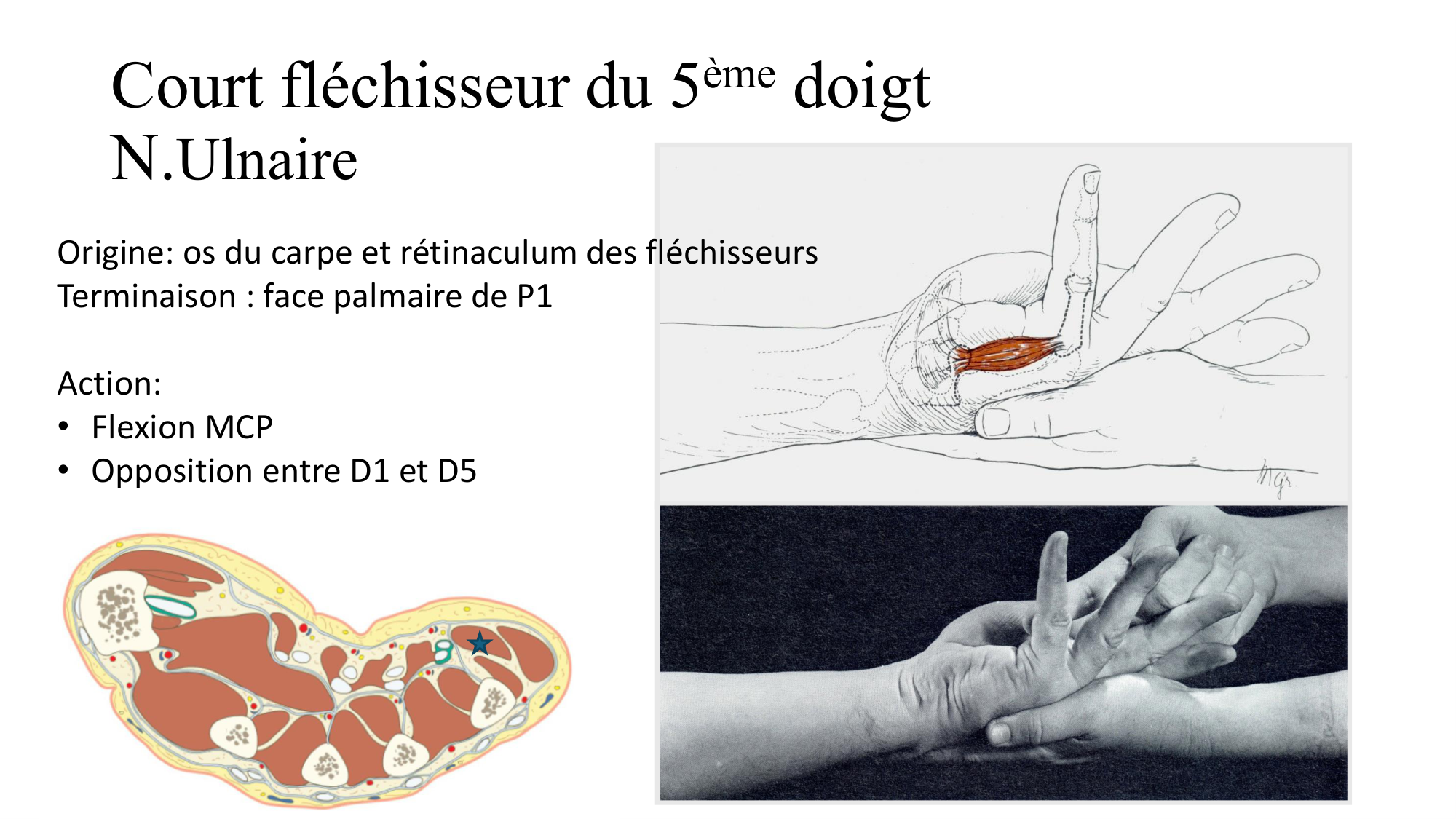 1BA main 2025-26 page 52