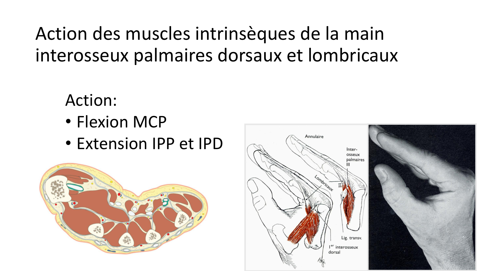 1BA main 2025-26 page 59