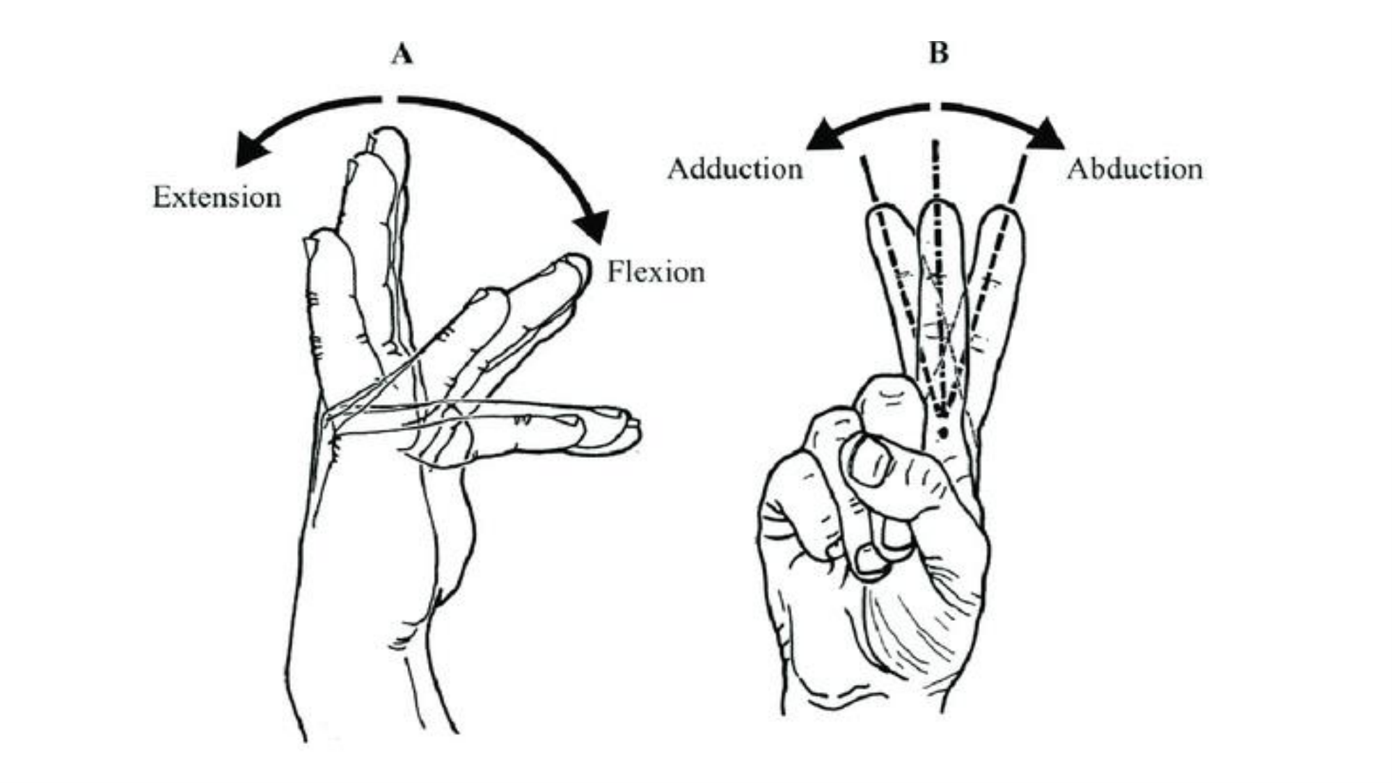 1BA main 2025-26 page 61