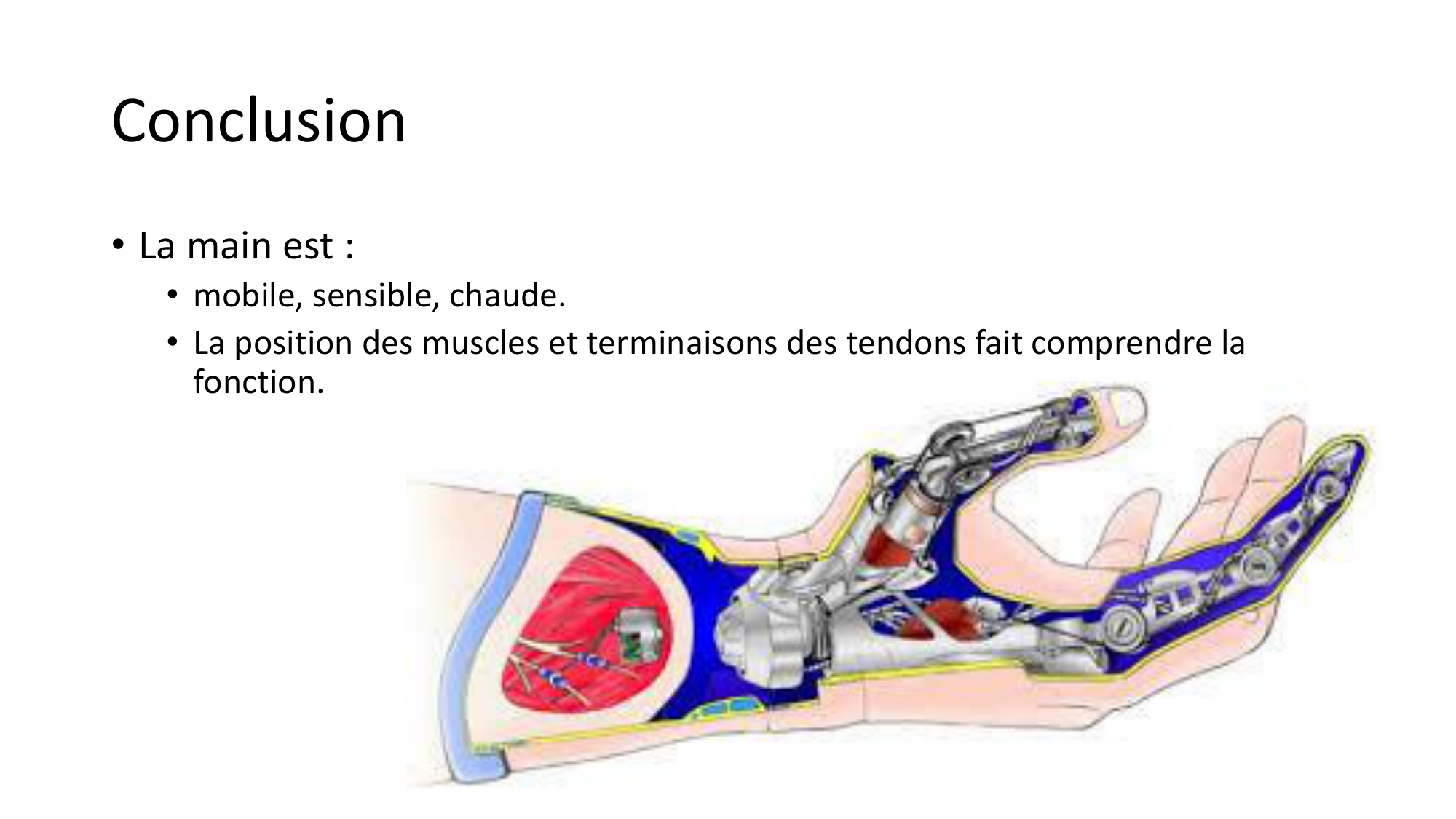 1BA main 2025-26 page 66