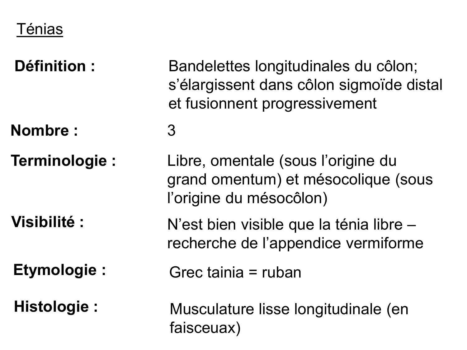 Abdomen gros intestin foie rate pancreas vascularisation page 8