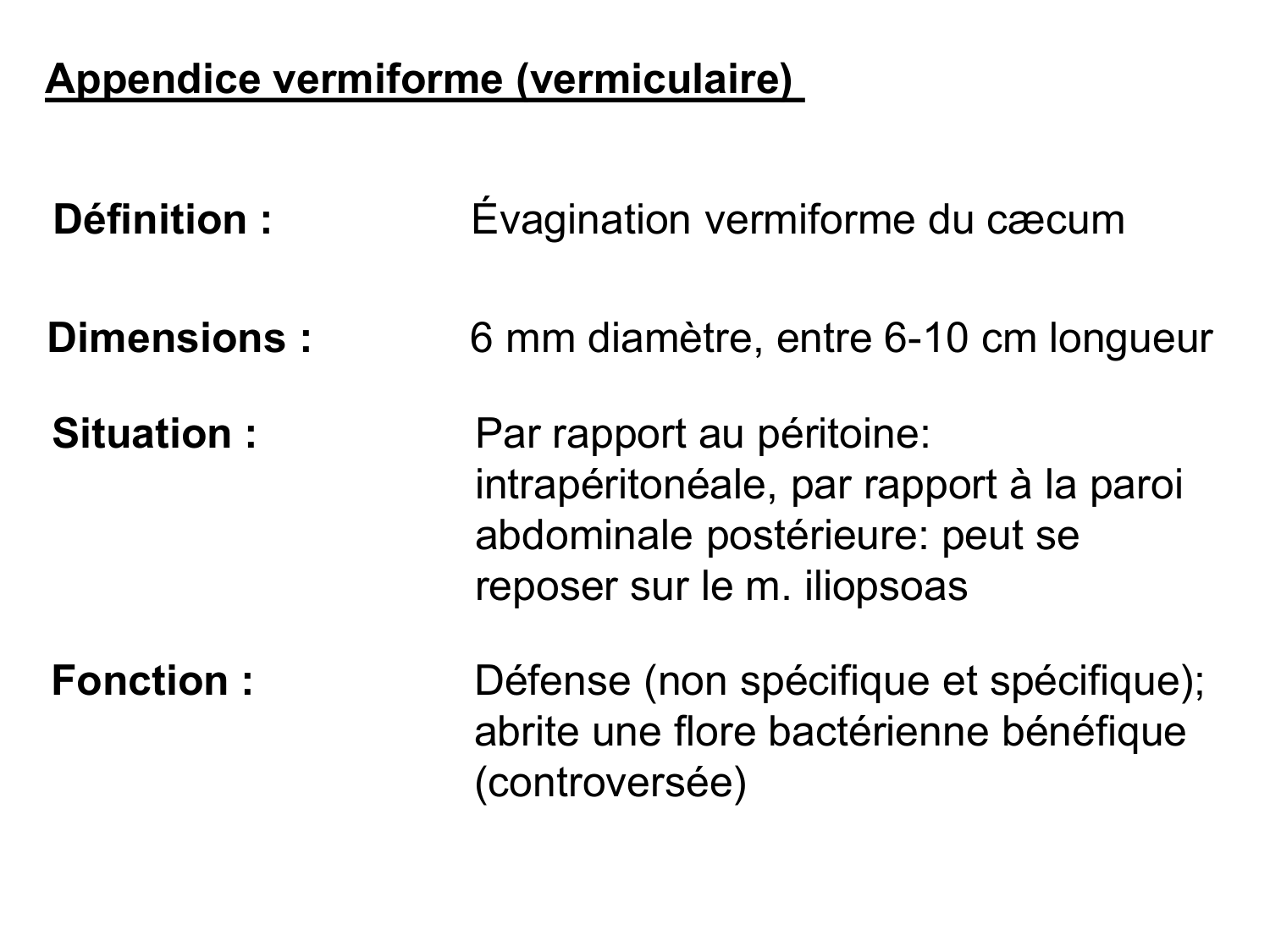 Abdomen gros intestin foie rate pancreas vascularisation page 17