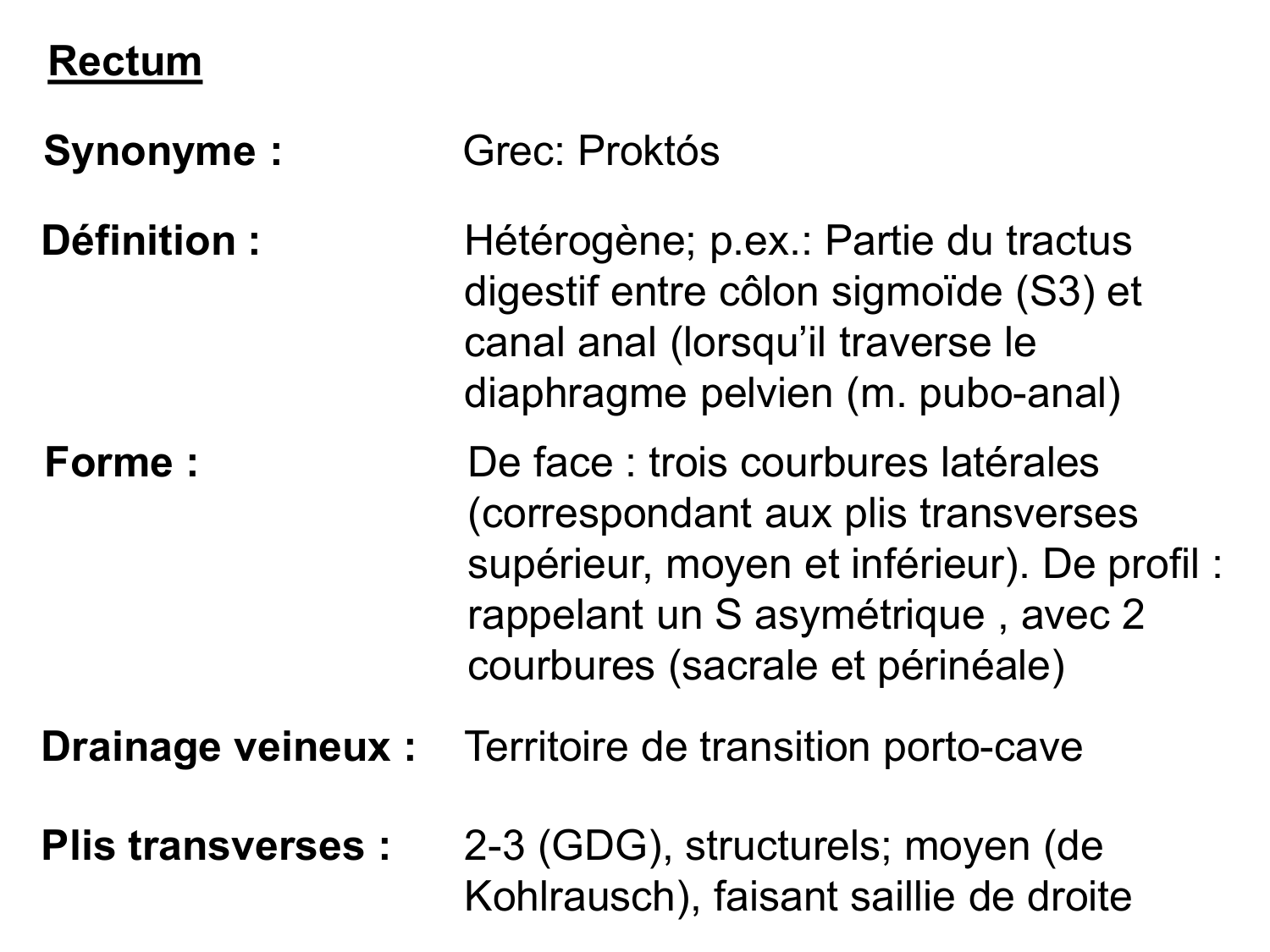 Abdomen gros intestin foie rate pancreas vascularisation page 23