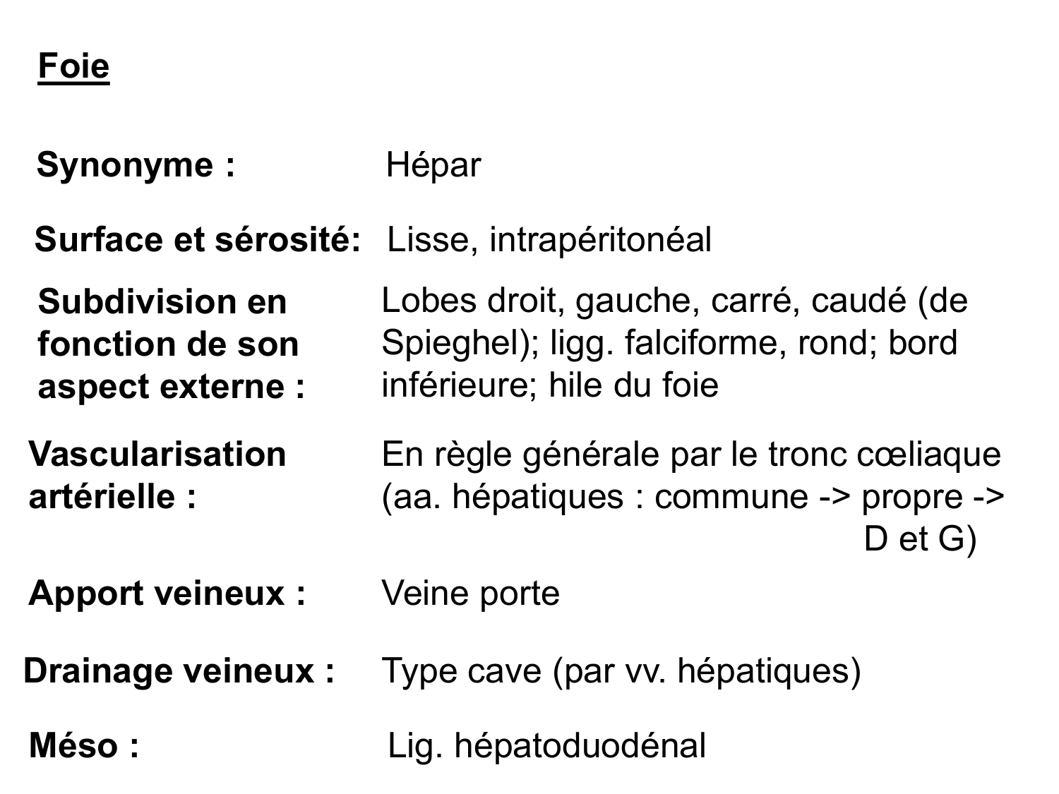 Abdomen gros intestin foie rate pancreas vascularisation page 32