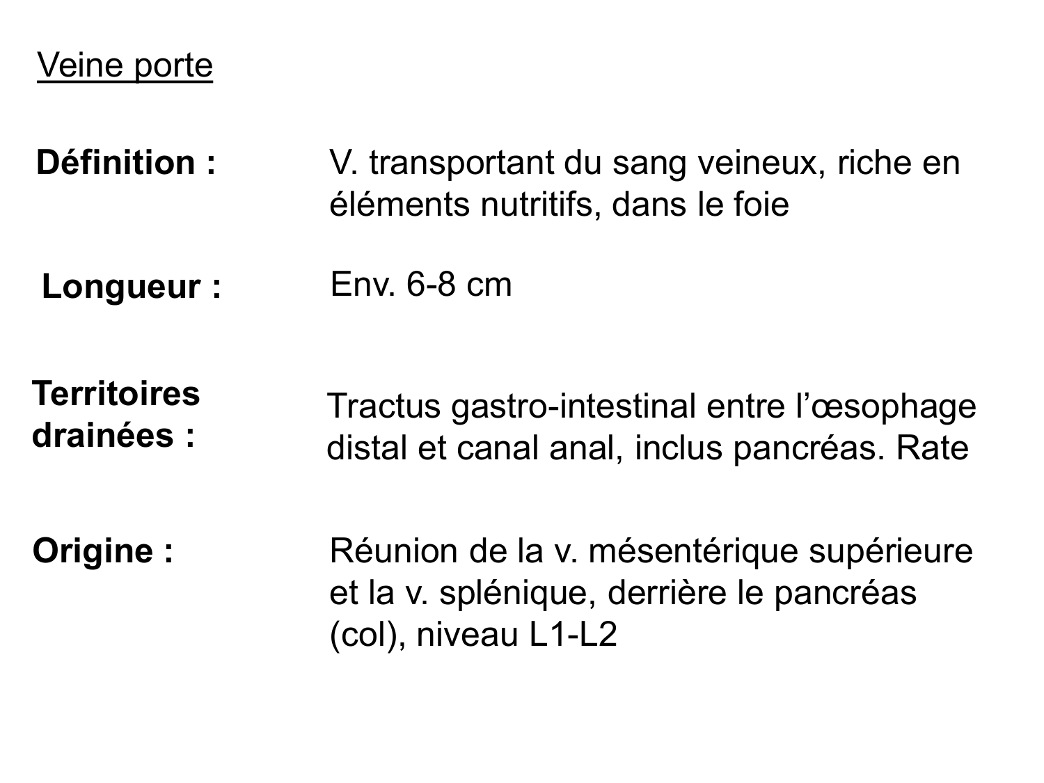 Abdomen gros intestin foie rate pancreas vascularisation page 41