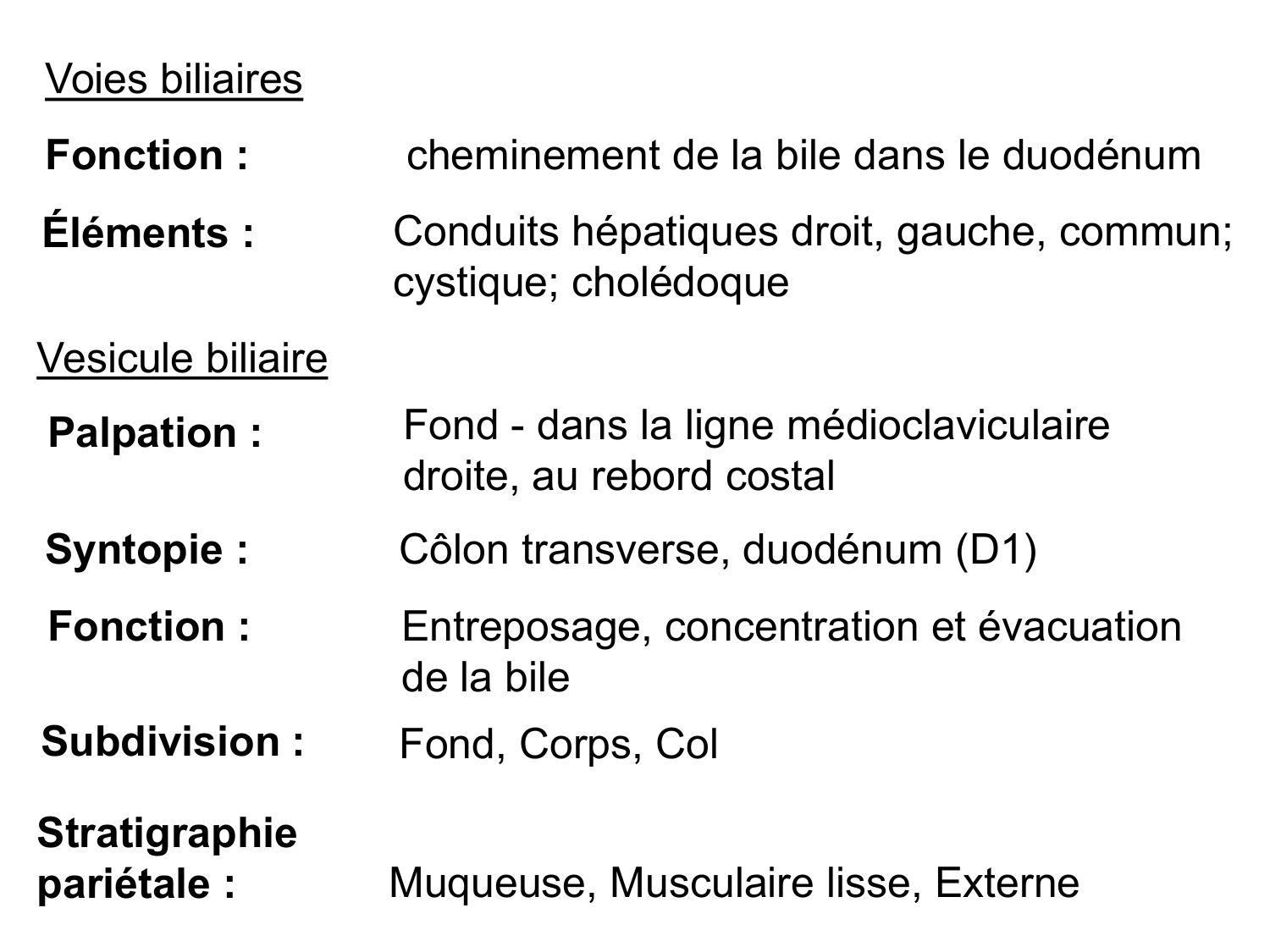 Abdomen gros intestin foie rate pancreas vascularisation page 49