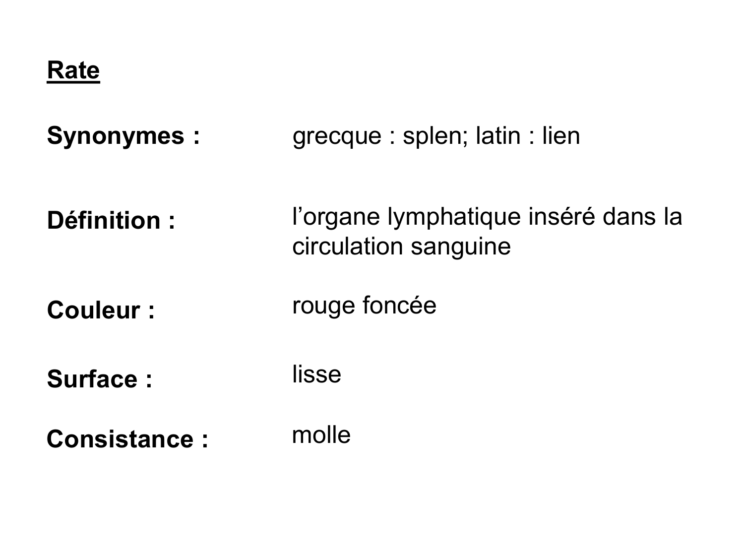 Abdomen gros intestin foie rate pancreas vascularisation page 64