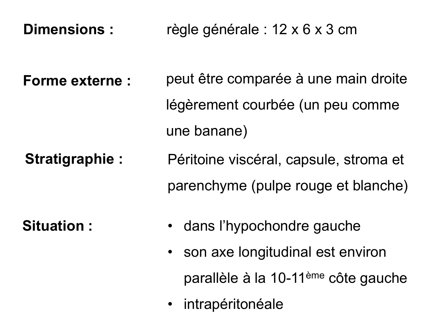 Abdomen gros intestin foie rate pancreas vascularisation page 68