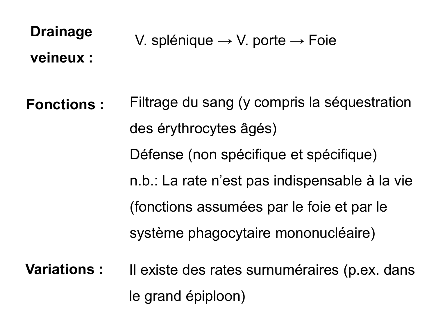 Abdomen gros intestin foie rate pancreas vascularisation page 77