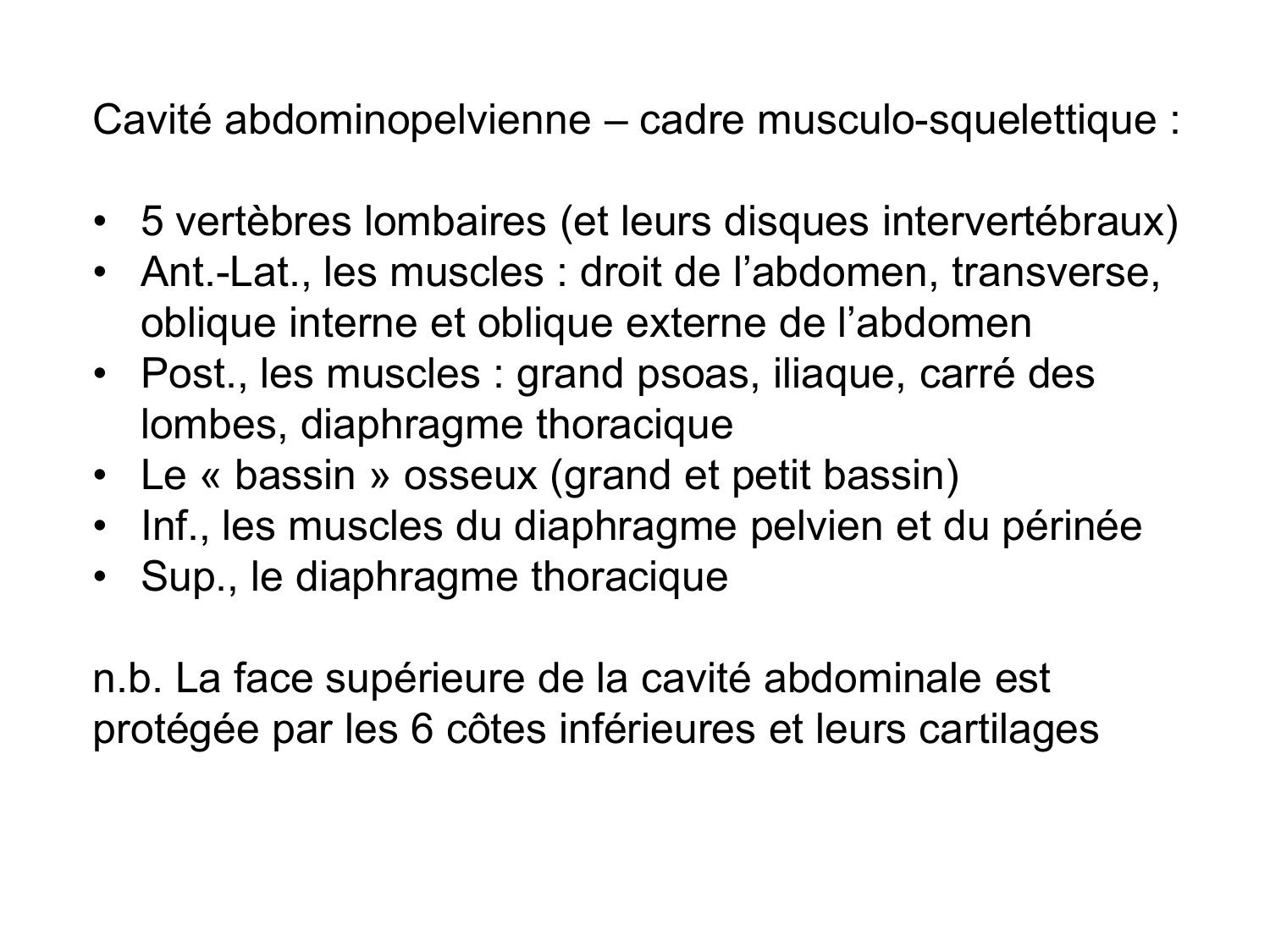 Abdomen paroi cavité tube digestif estomac et intestin grêle page 3