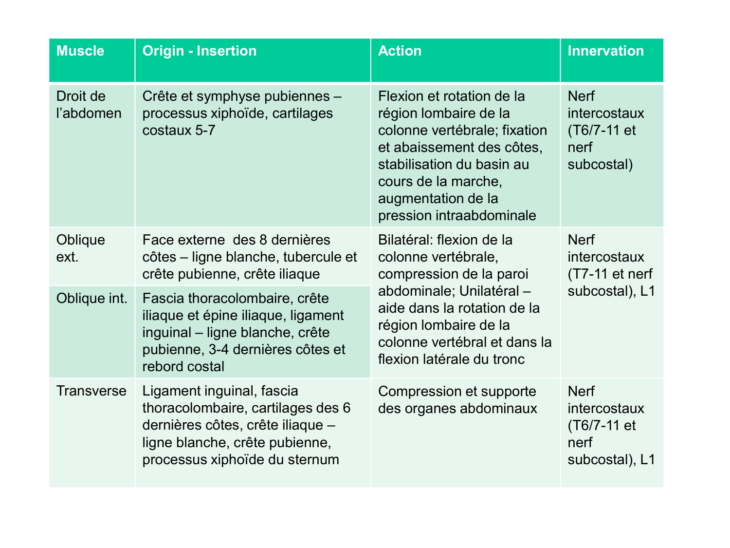 Abdomen paroi cavité tube digestif estomac et intestin grêle page 6