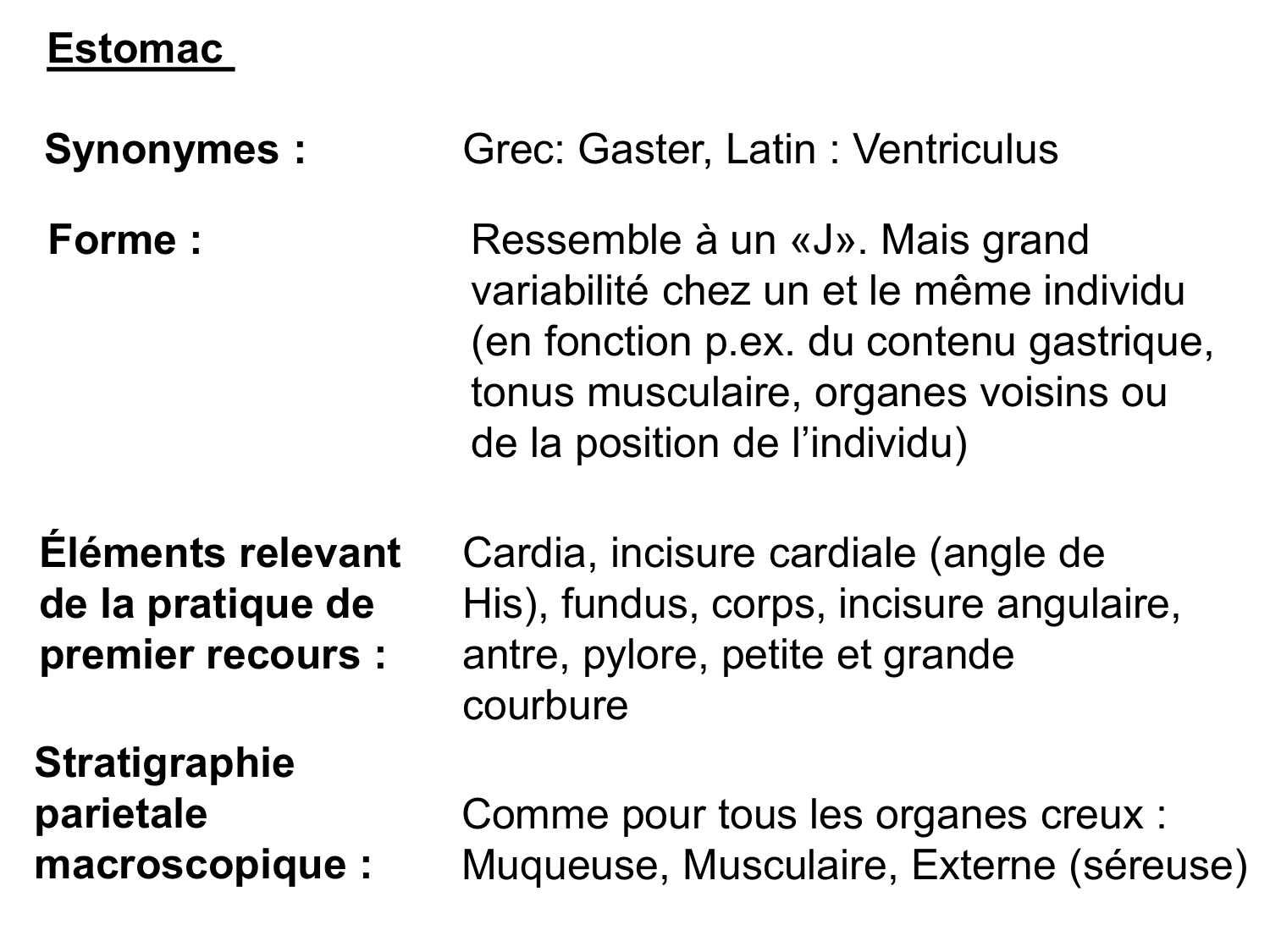 Abdomen paroi cavité tube digestif estomac et intestin grêle page 23