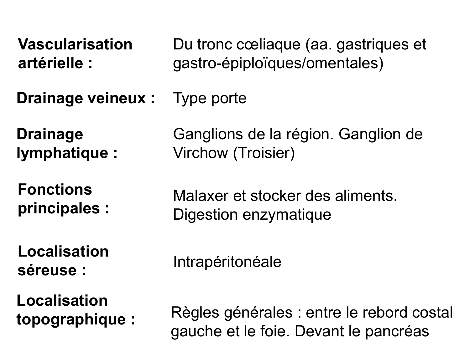 Abdomen paroi cavité tube digestif estomac et intestin grêle page 25