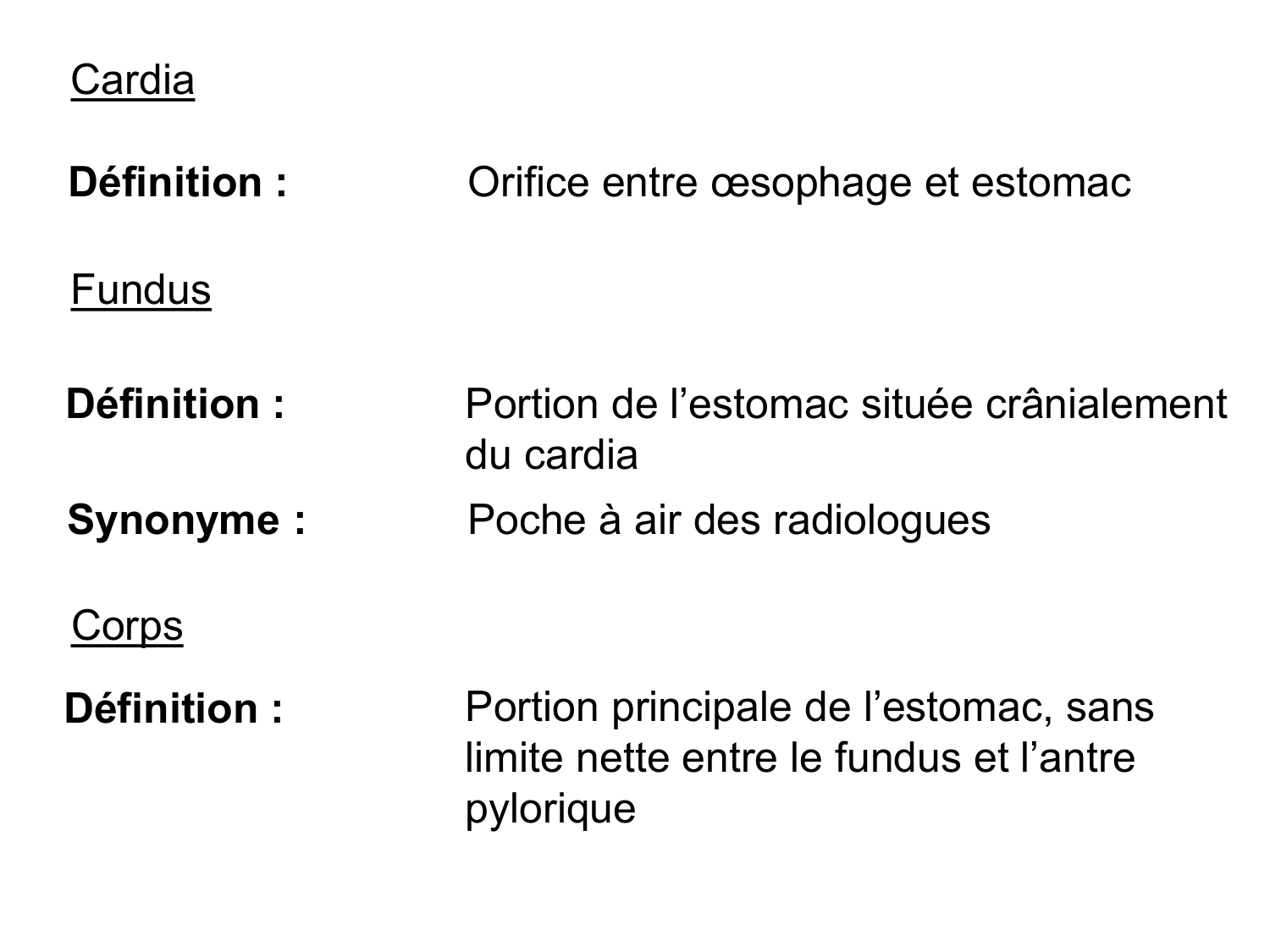 Abdomen paroi cavité tube digestif estomac et intestin grêle page 28