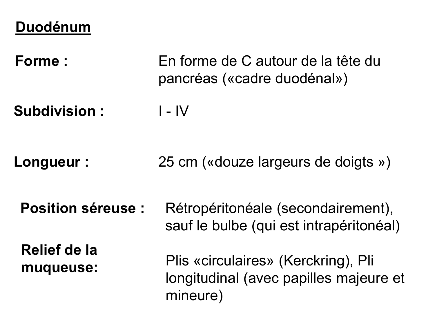 Abdomen paroi cavité tube digestif estomac et intestin grêle page 35
