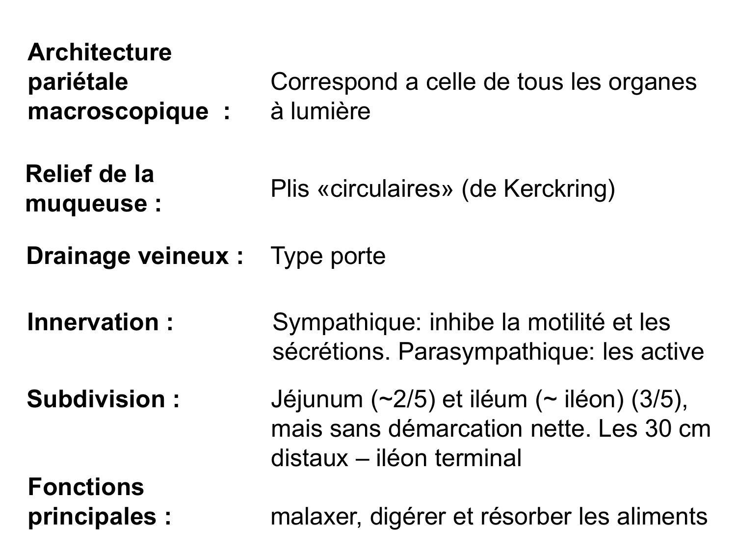 Abdomen paroi cavité tube digestif estomac et intestin grêle page 43