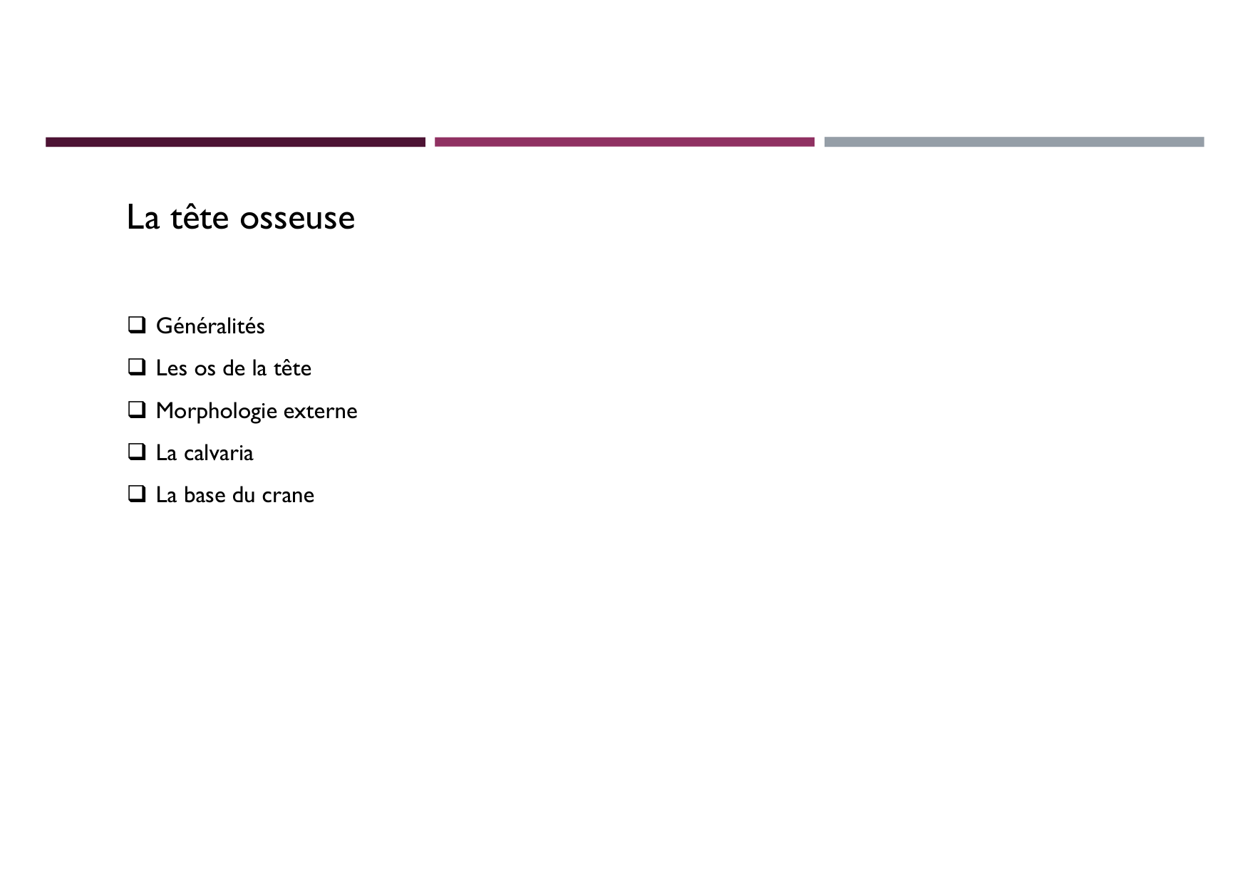 Anatomie de la tete 1 2025 2026 page 8