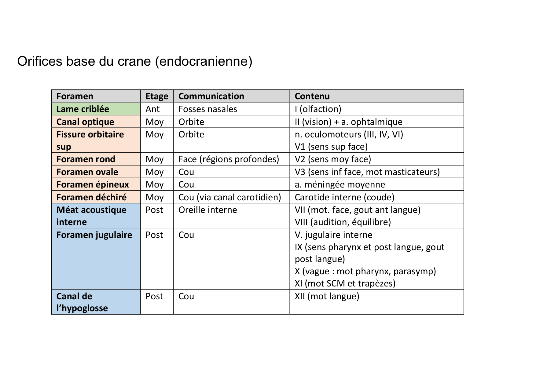 Anatomie de la tete 1 2025 2026 page 41