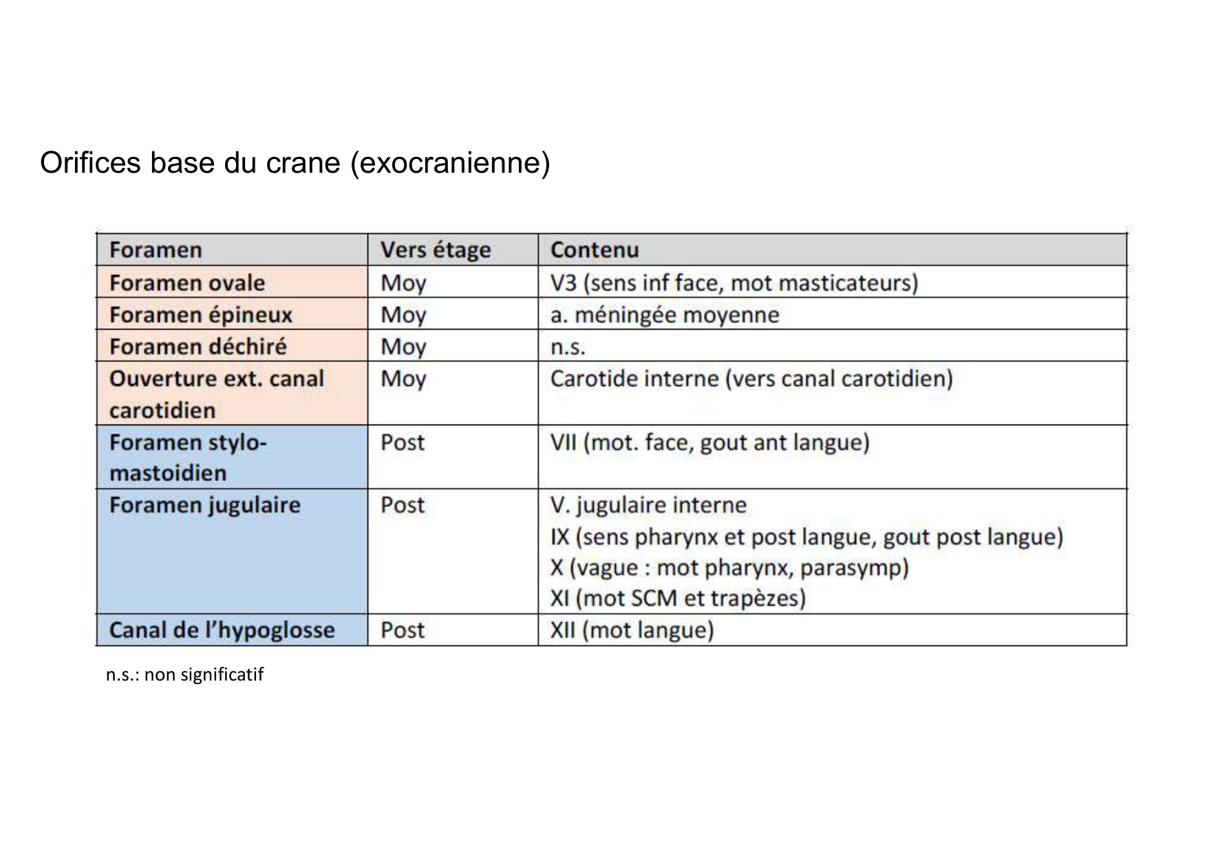 Anatomie de la tete 1 2025 2026 page 43