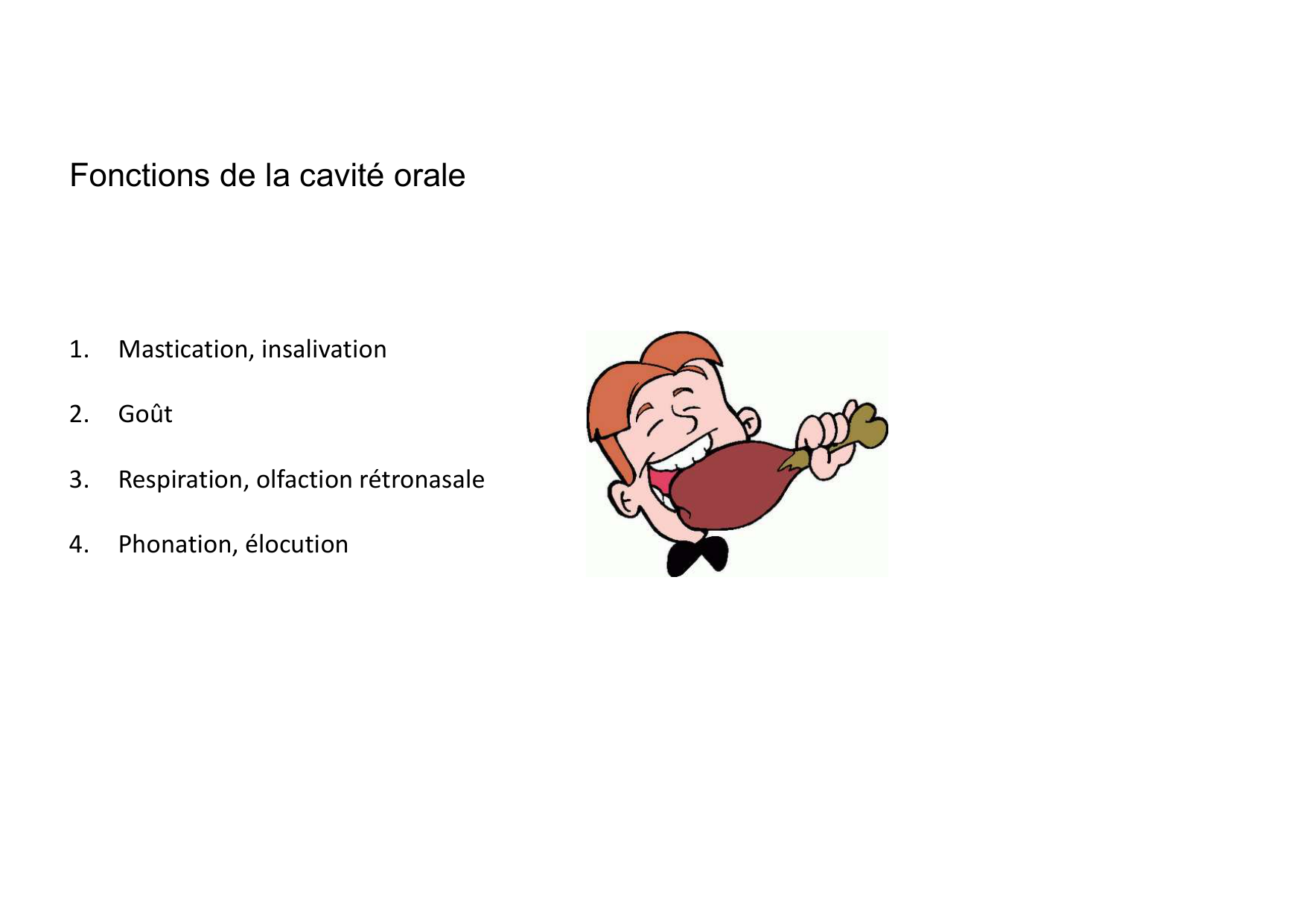 Anatomie de la tete 2 2025 2026 page 24