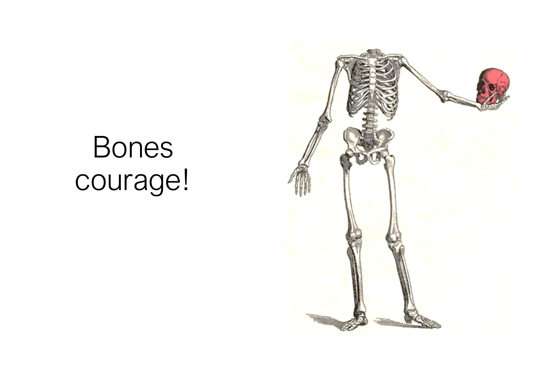 Anatomie de la tete 2 2025 2026 page 59