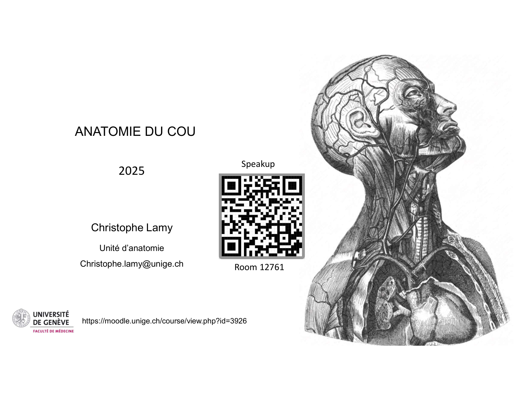 Anatomie du cou 2025 page 1