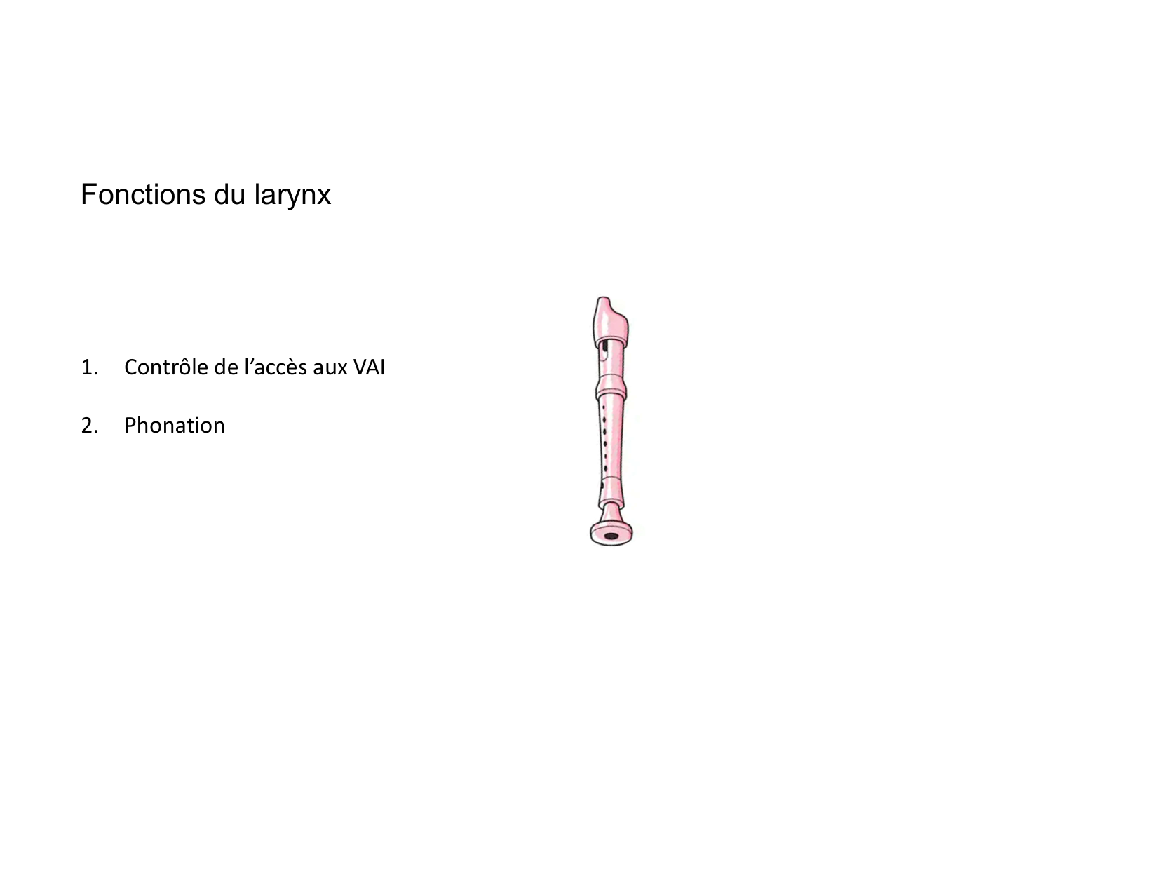 Anatomie du cou 2025 page 35