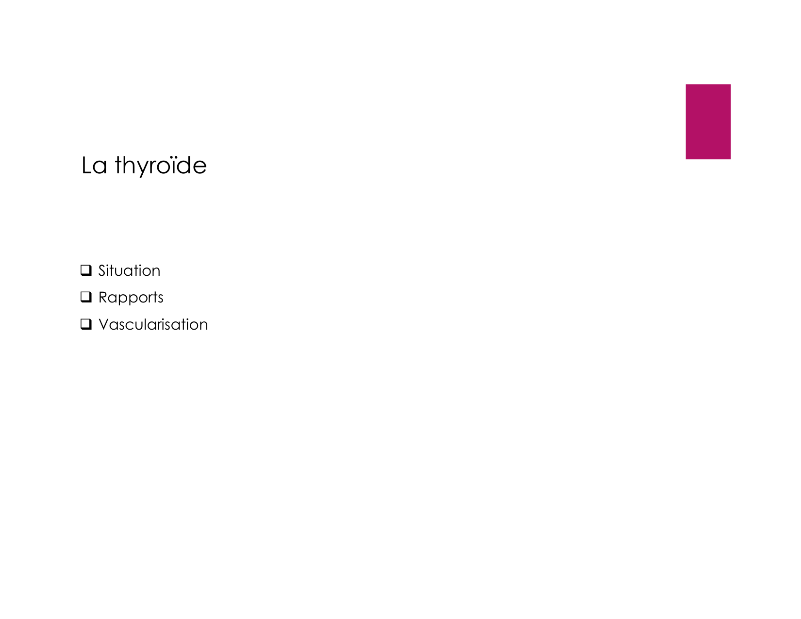 Anatomie du cou 2025 page 36
