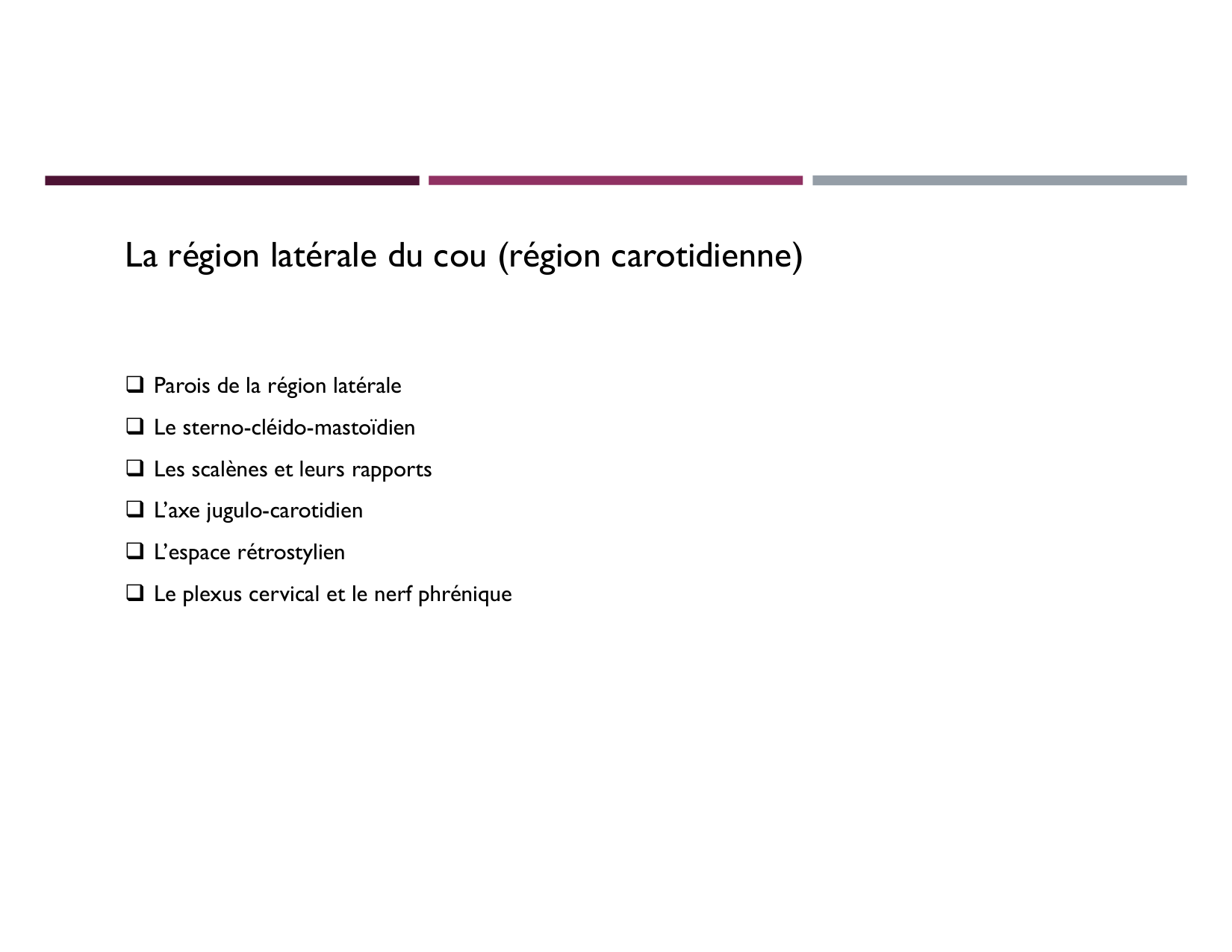 Anatomie du cou 2025 page 42