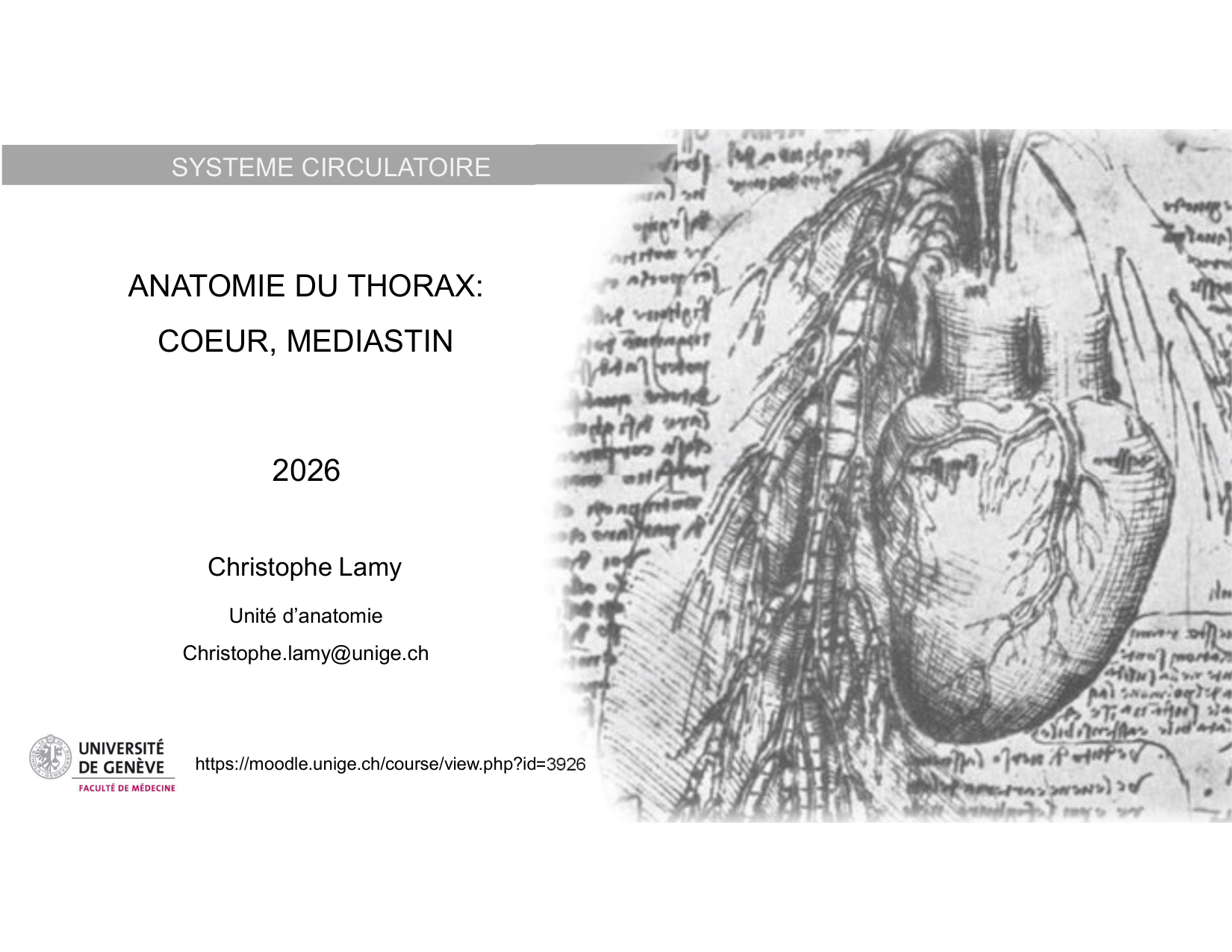 Anatomie du mediastin 2025 2026 page 1